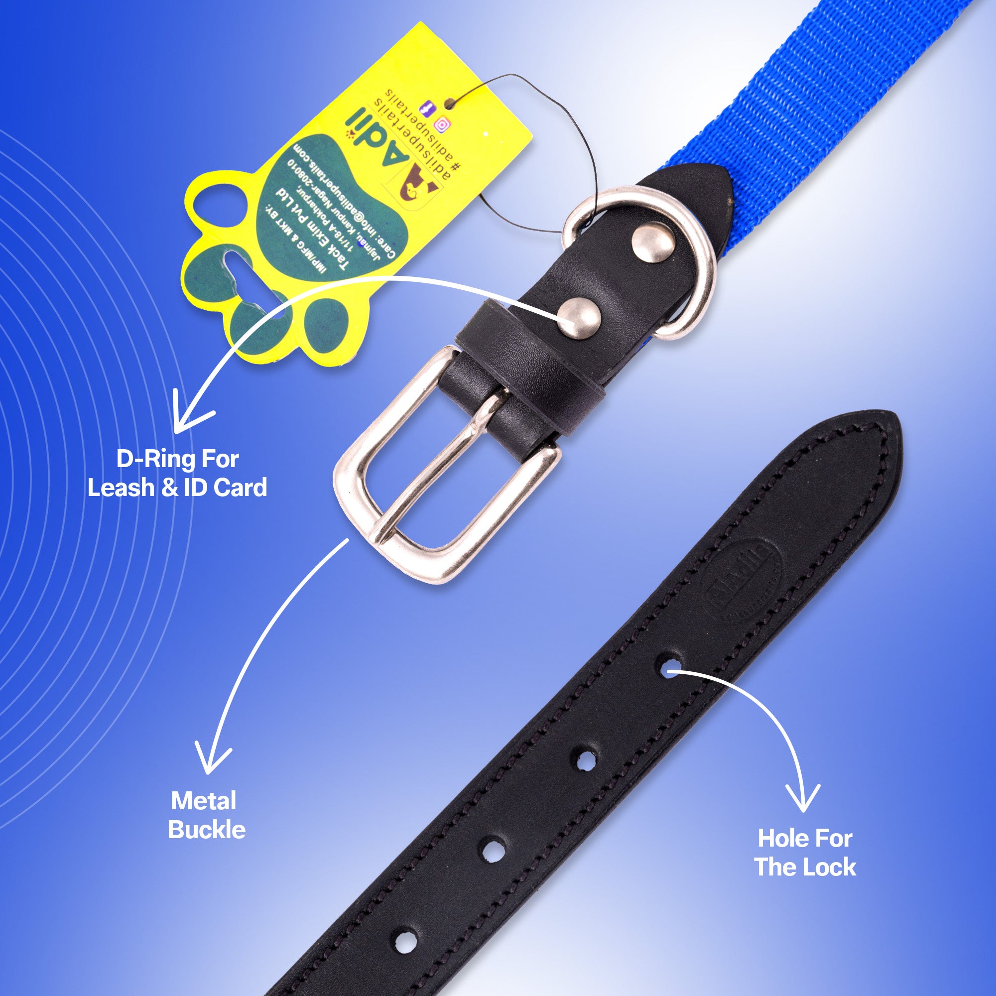 Nylon Dog Collar with Leather finish and Adjustable Metal Buckle