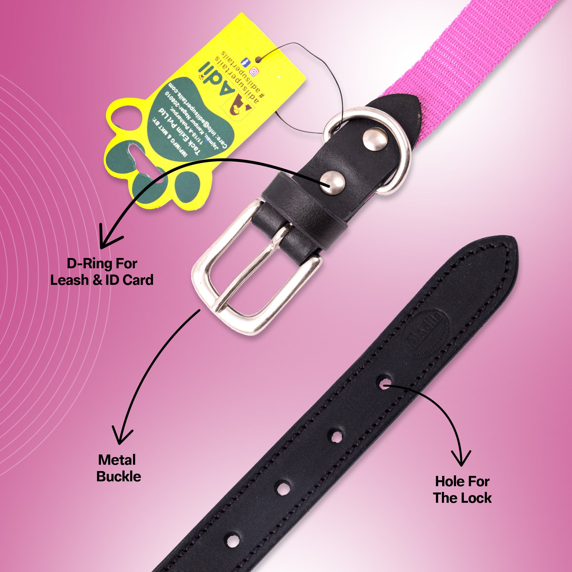 Nylon Dog Collar with Leather finish and Adjustable Metal Buckle