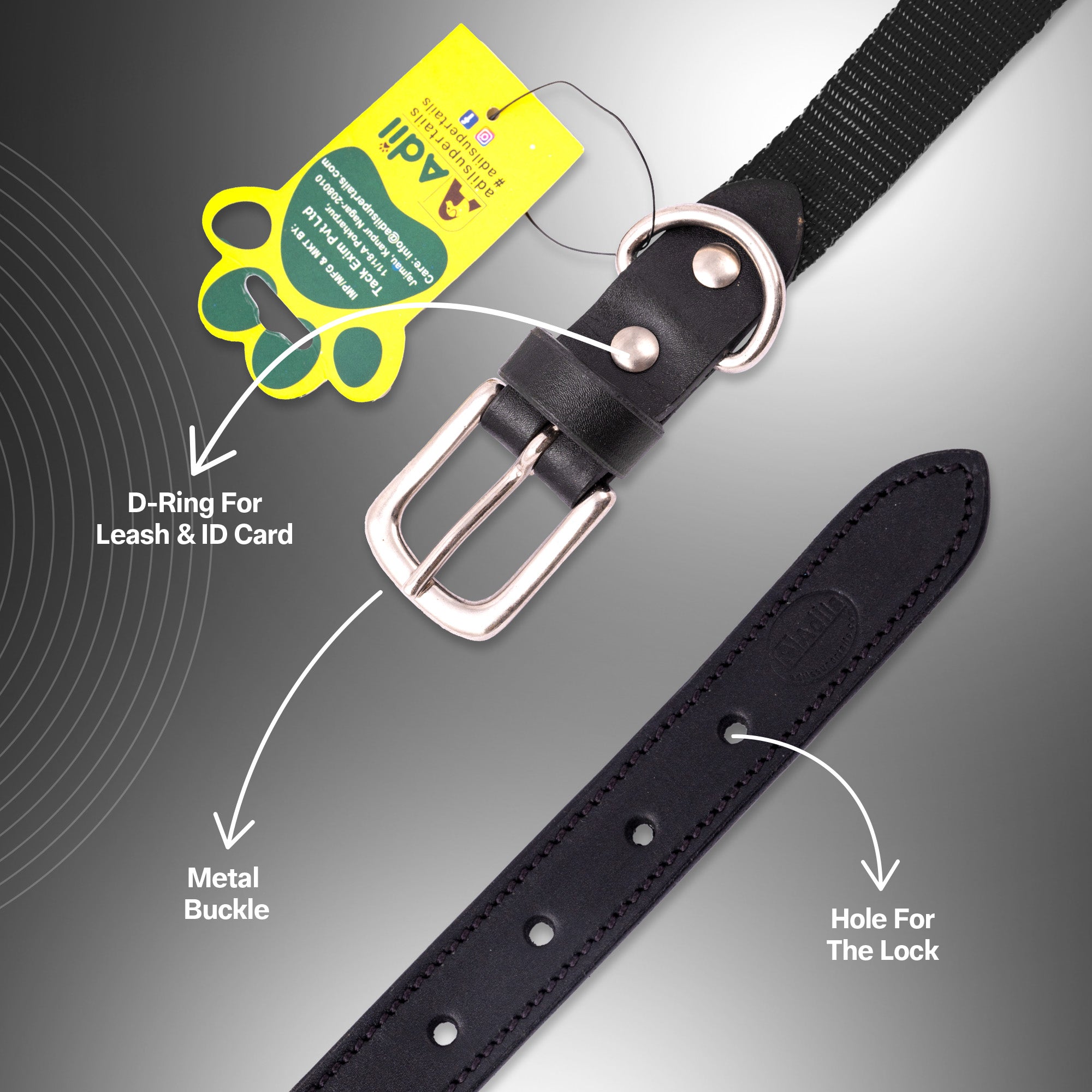 Nylon Dog Collar with Leather finish and Adjustable Metal Buckle