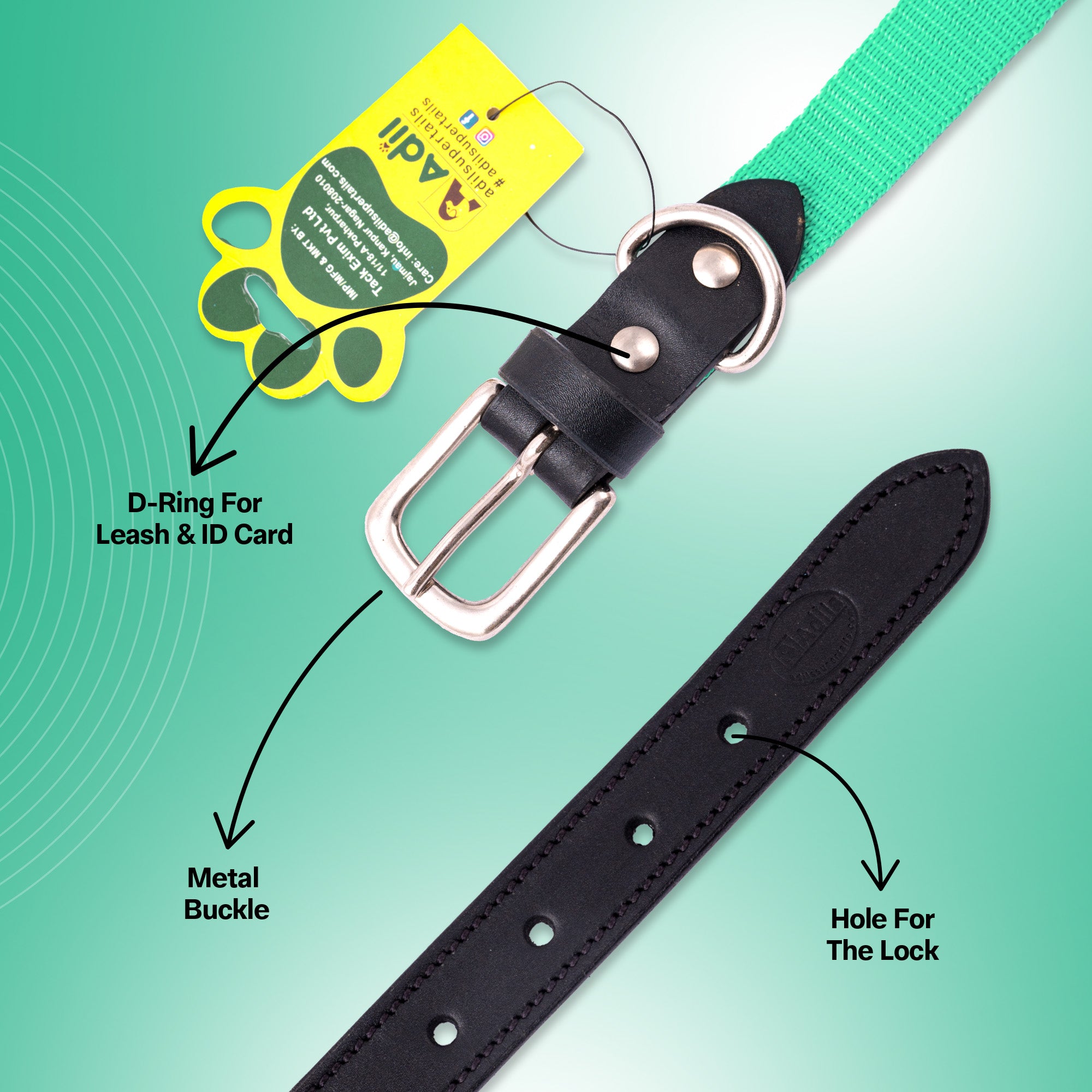 Nylon Dog Collar with Leather finish and Adjustable Metal Buckle