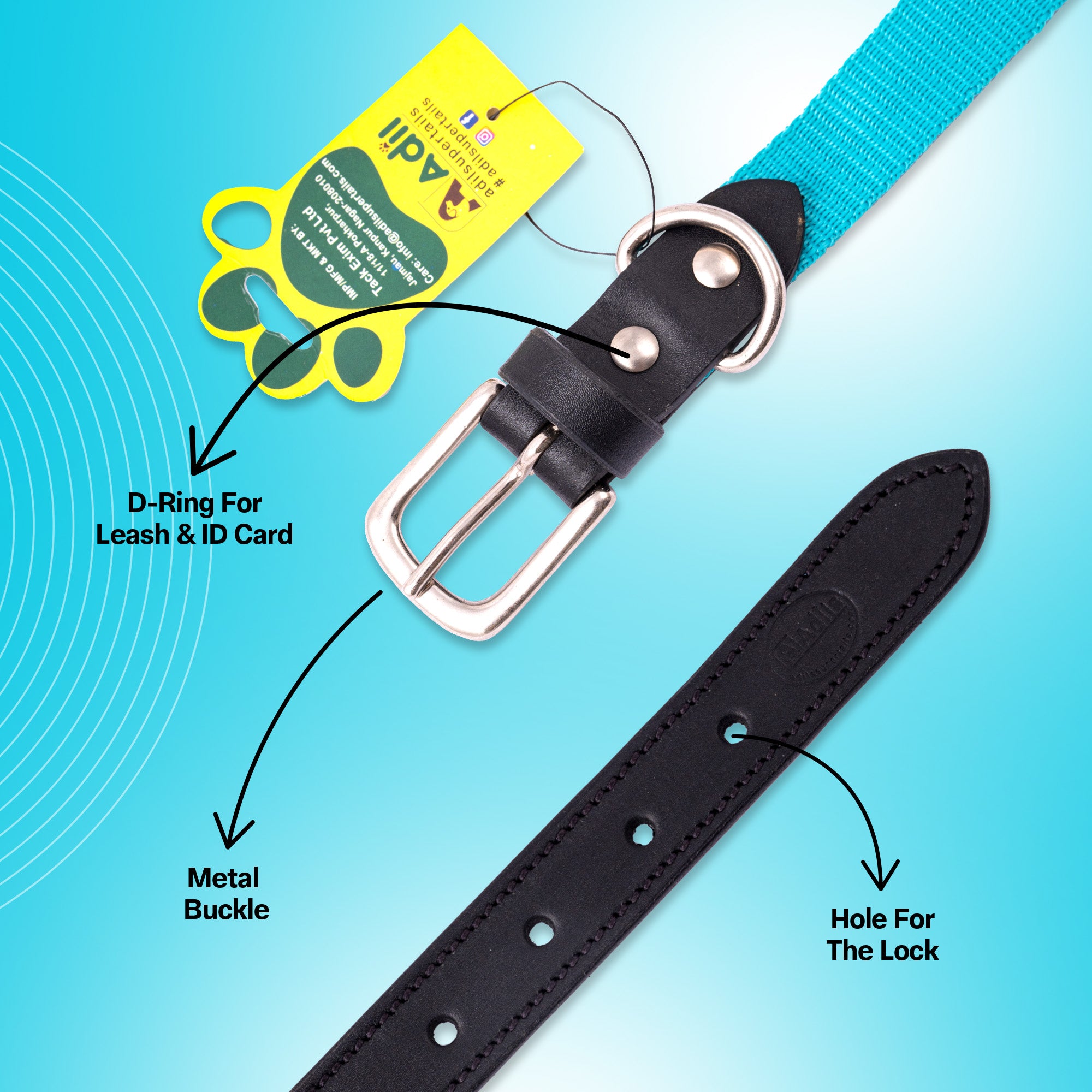 Nylon Dog Collar with Leather finish and Adjustable Metal Buckle