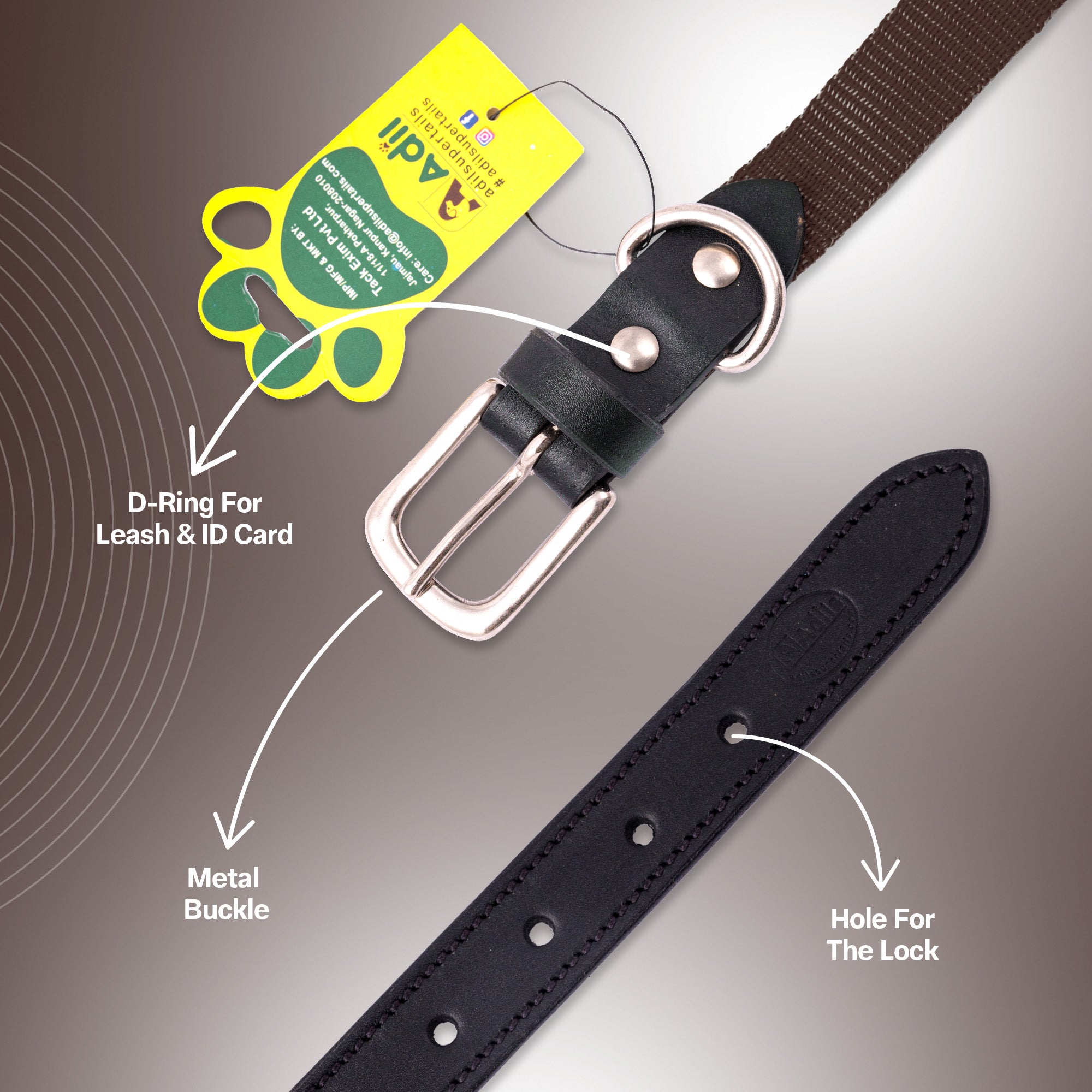 Nylon Dog Collar with Leather finish and Adjustable Metal Buckle