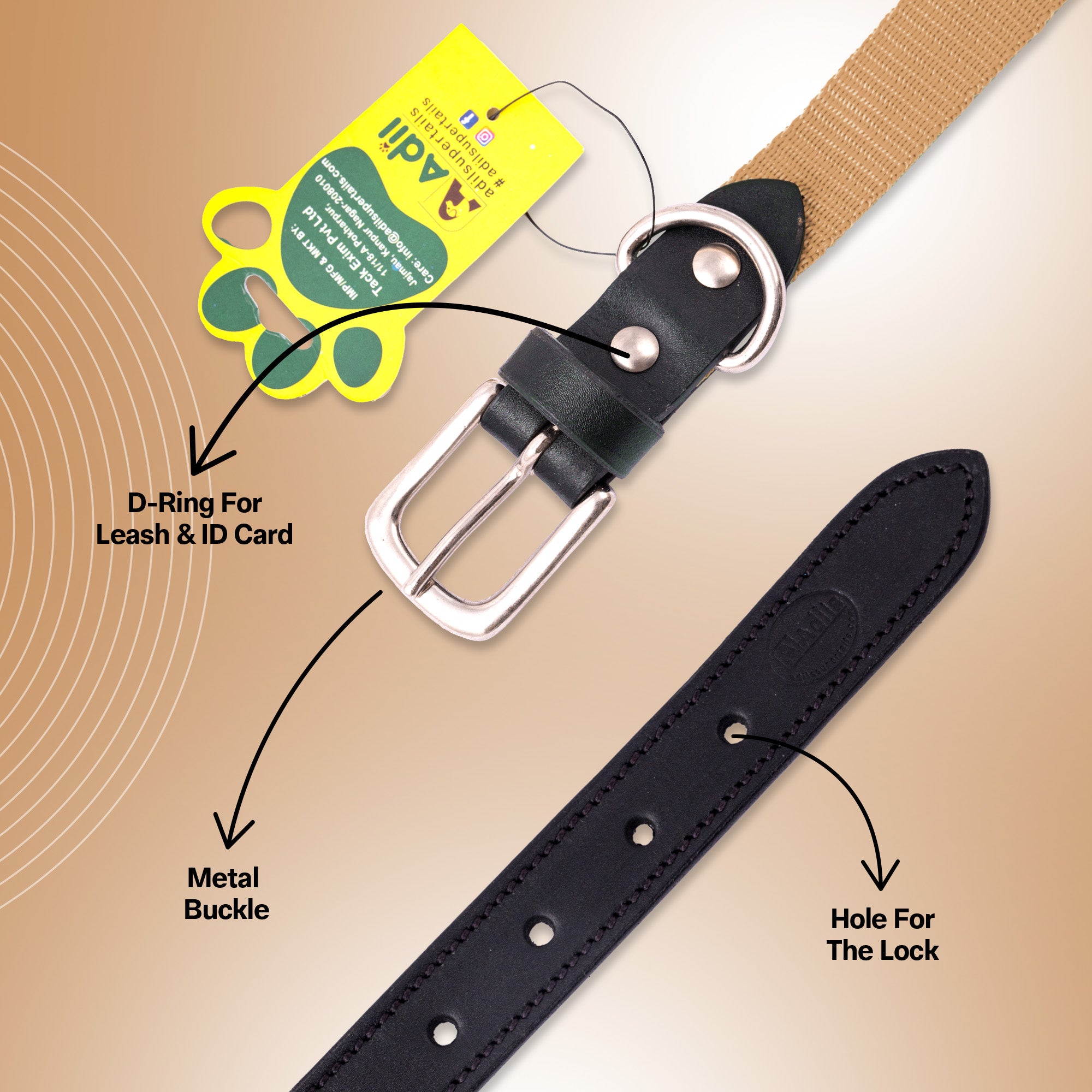 Nylon Dog Collar with Leather finish and Adjustable Metal Buckle