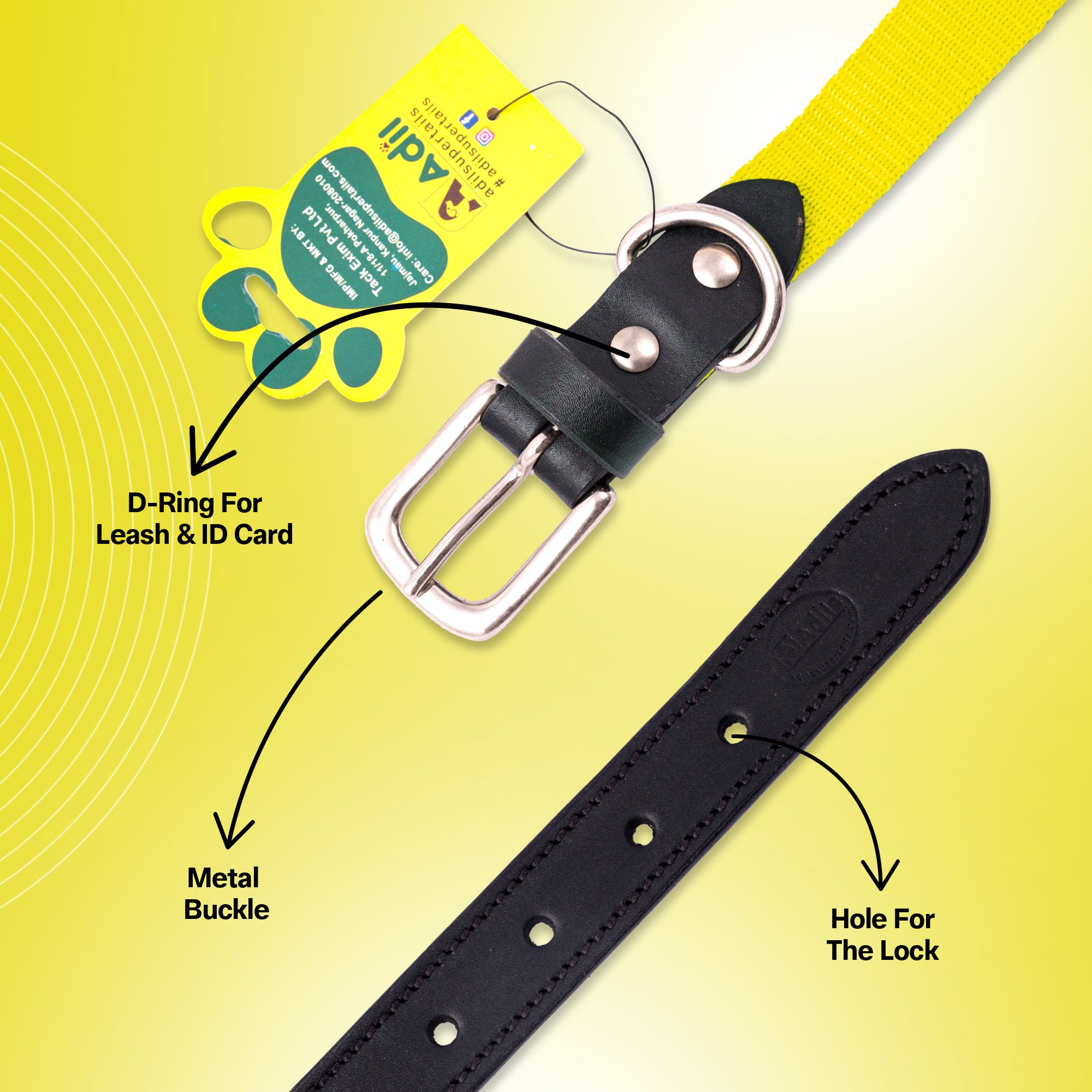 Nylon Dog Collar with Leather finish and Adjustable Metal Buckle