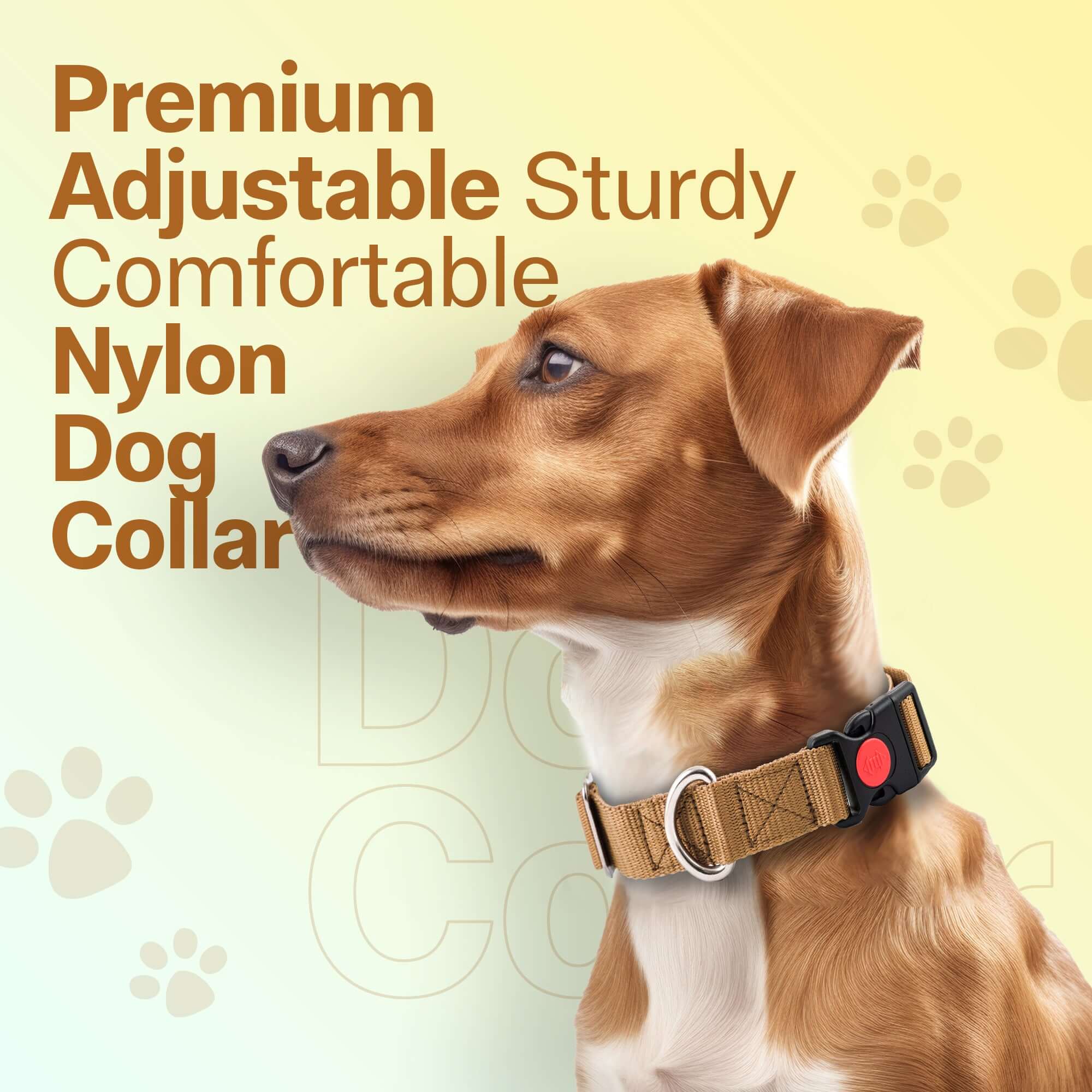 Adil's Nylon Quick Release Dog Collar 25 mm
