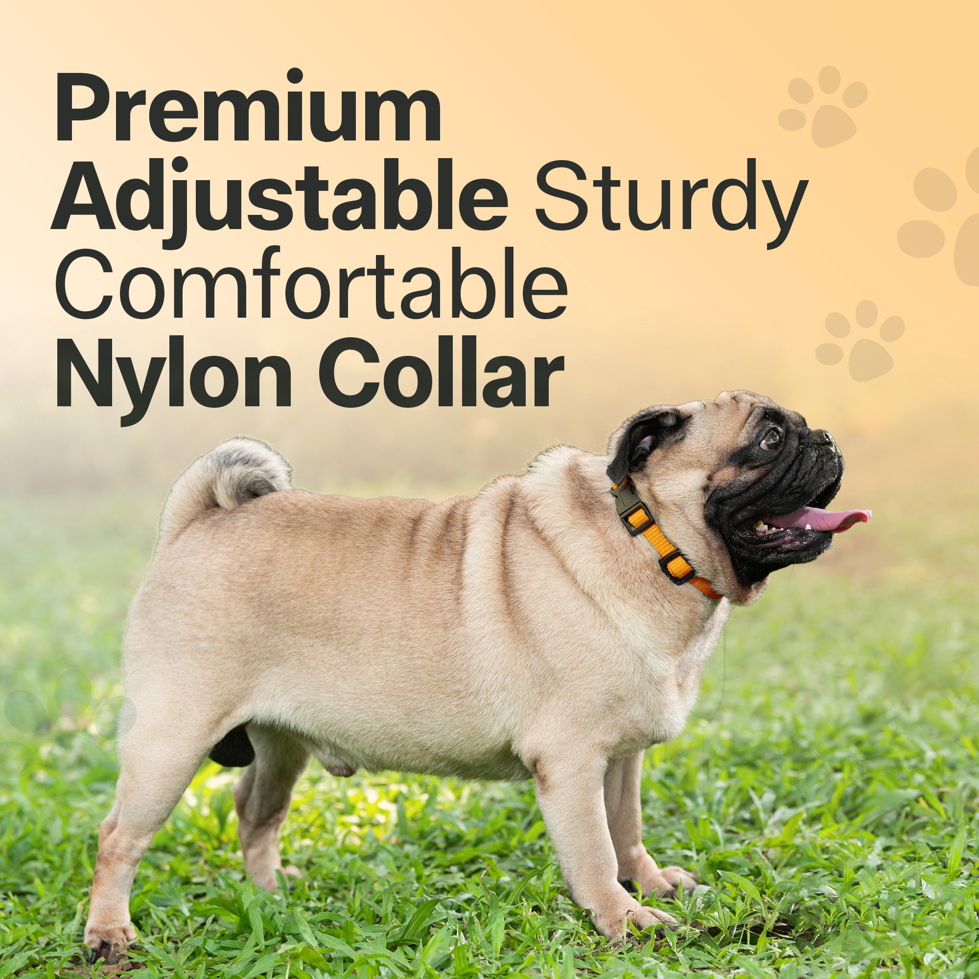Adil's Nylon Quick Release Cat Collar 12 mm