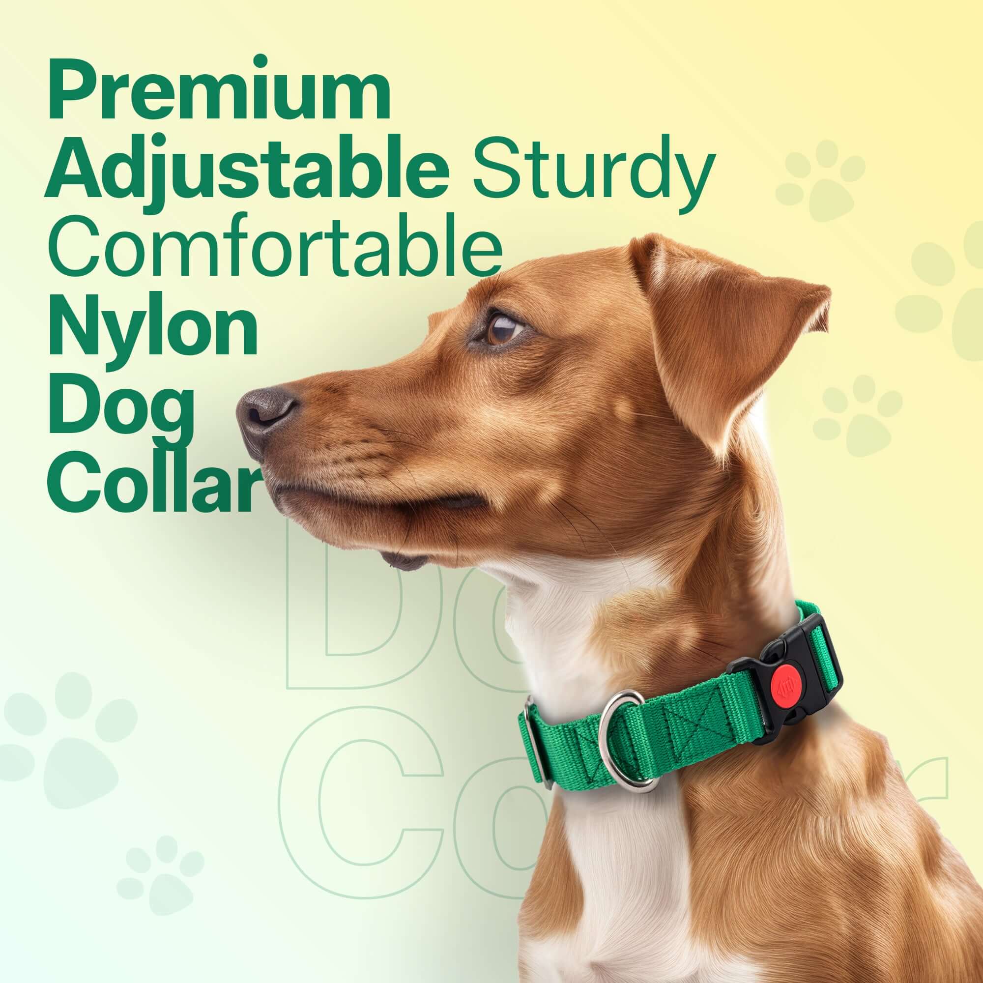 Adil's Nylon Quick Release Dog Collar 25 mm