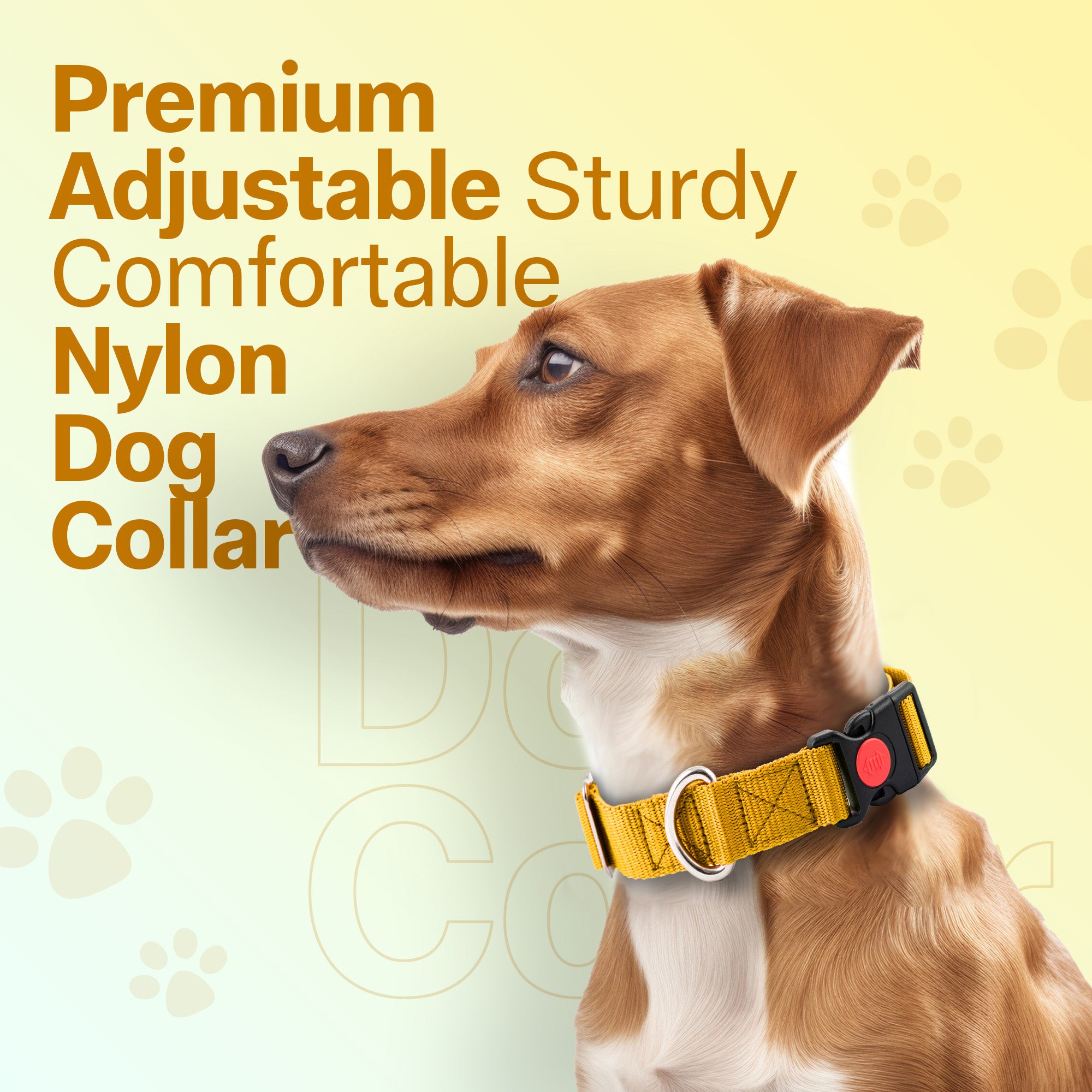 Adil's Nylon Quick Release Dog Collar 25 mm