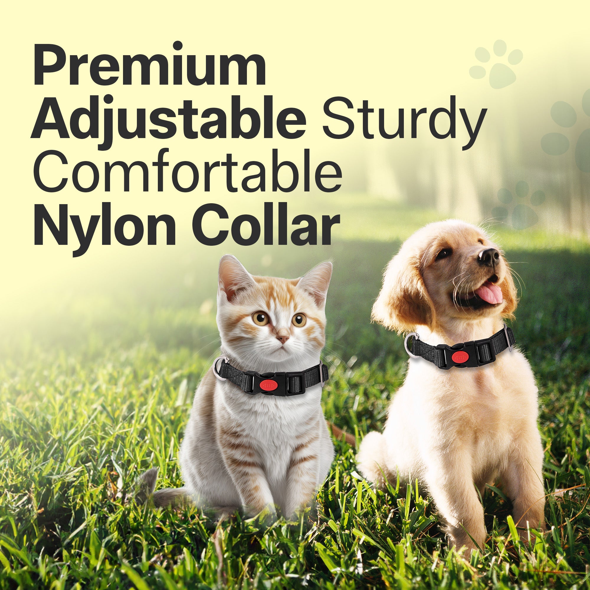 Adil's Nylon Quick Release Cat Collar -19mm