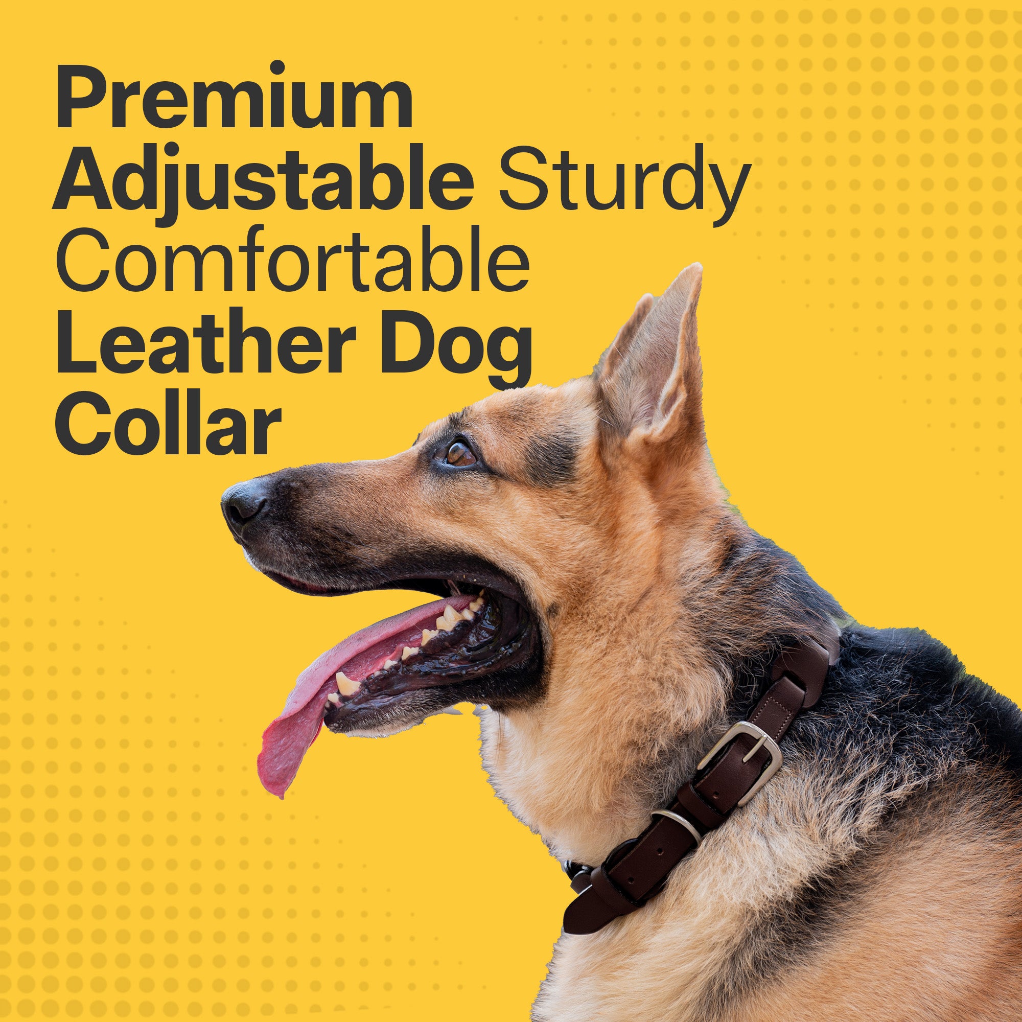 Adil's Leather Personalized Dog Collar (Harness Leather) – 1.5 Inch Wide