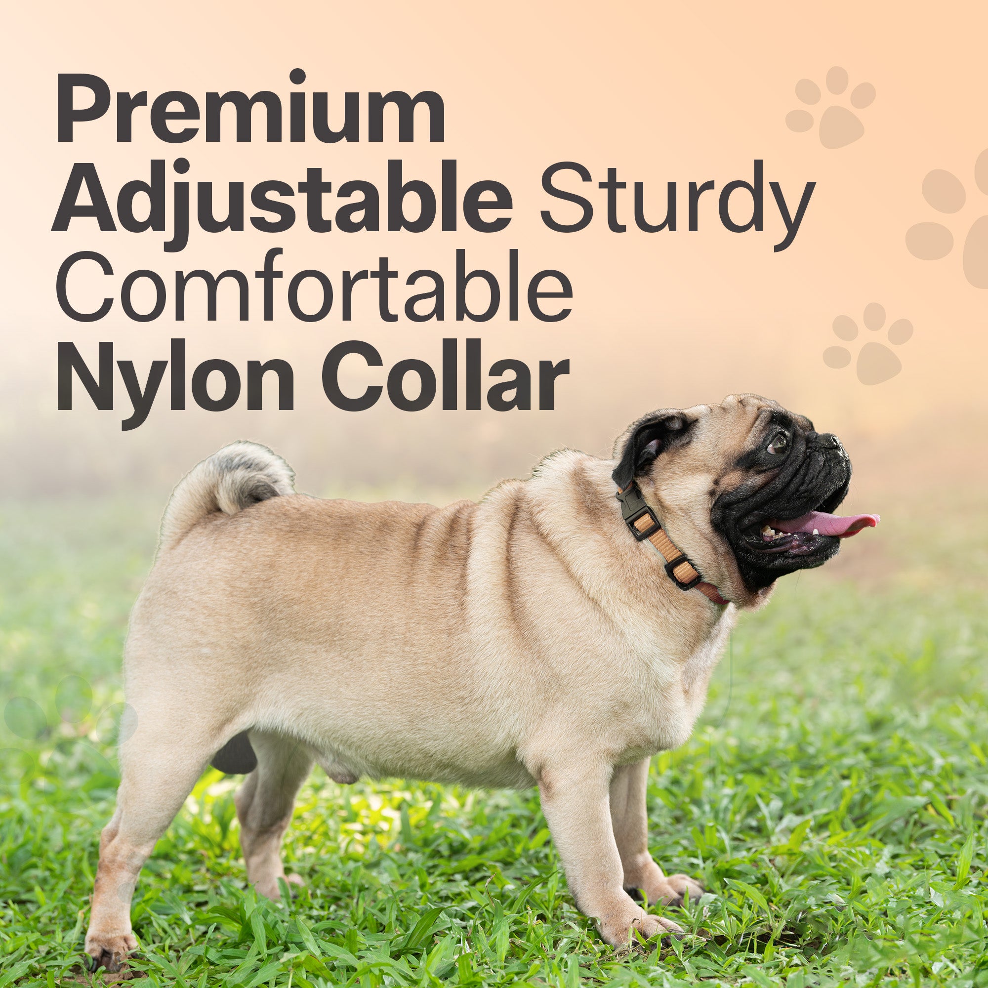 Adil's Nylon Quick Release Cat Collar 12 mm