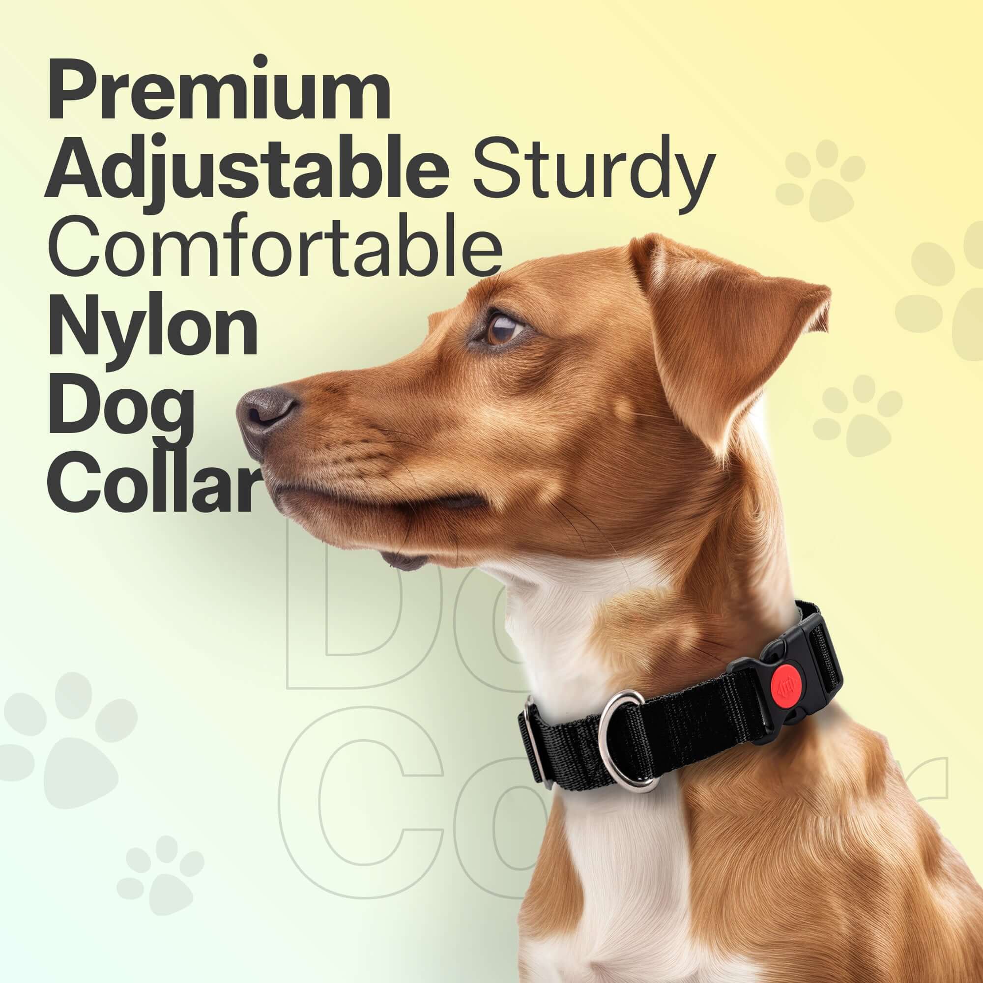 Adil's Nylon Quick Release Dog Collar 25 mm