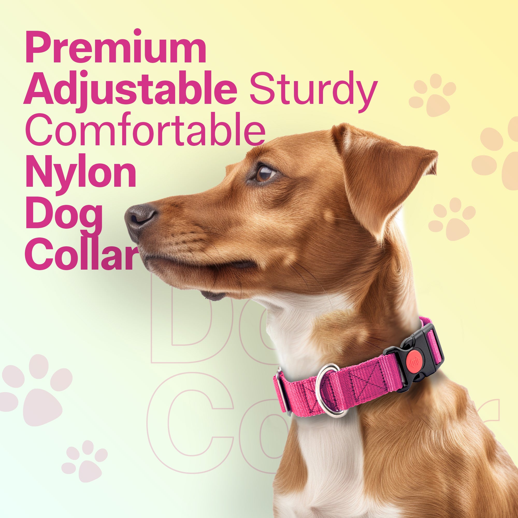 Adil's Nylon Quick Release Dog Collar 25 mm