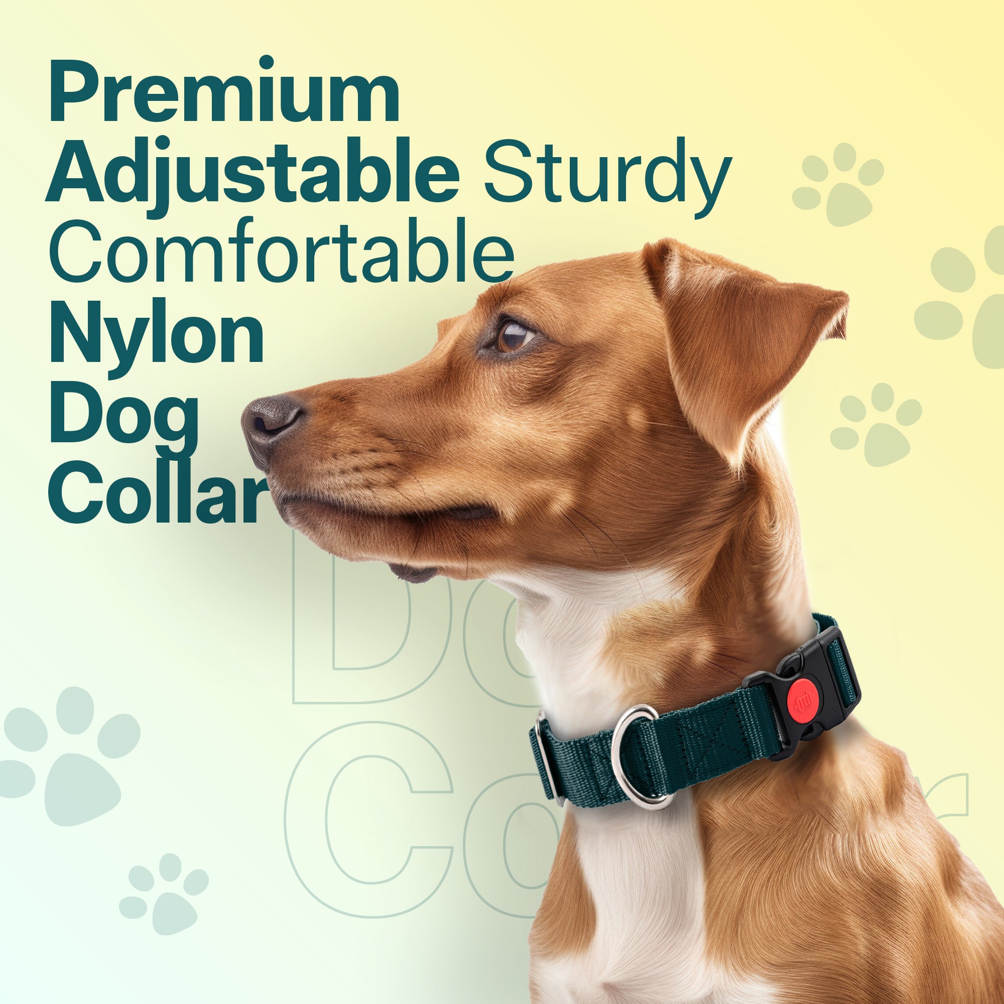 Adil's Nylon Quick Release Dog Collar 25 mm