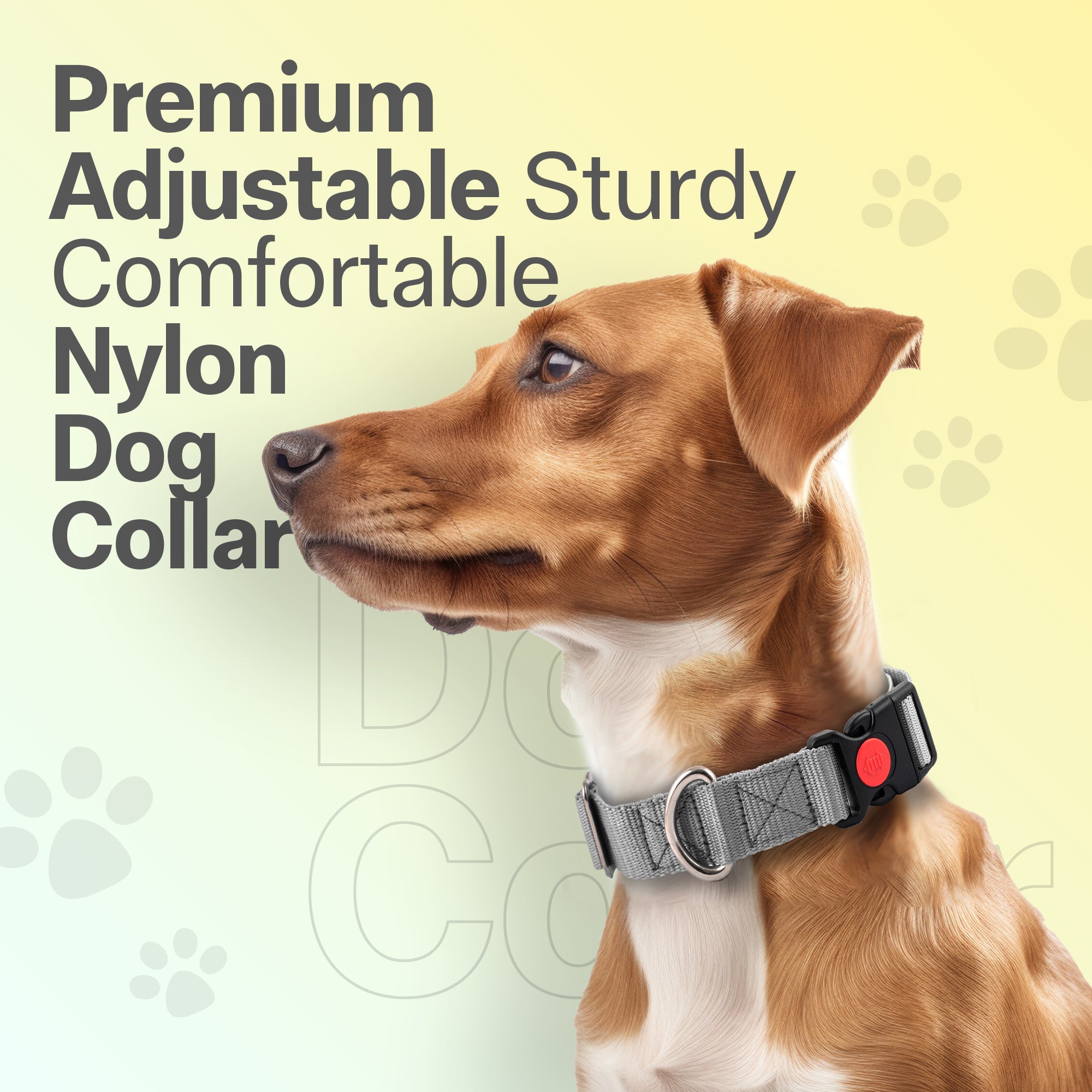 Adil's Nylon Quick Release Dog Collar 25 mm