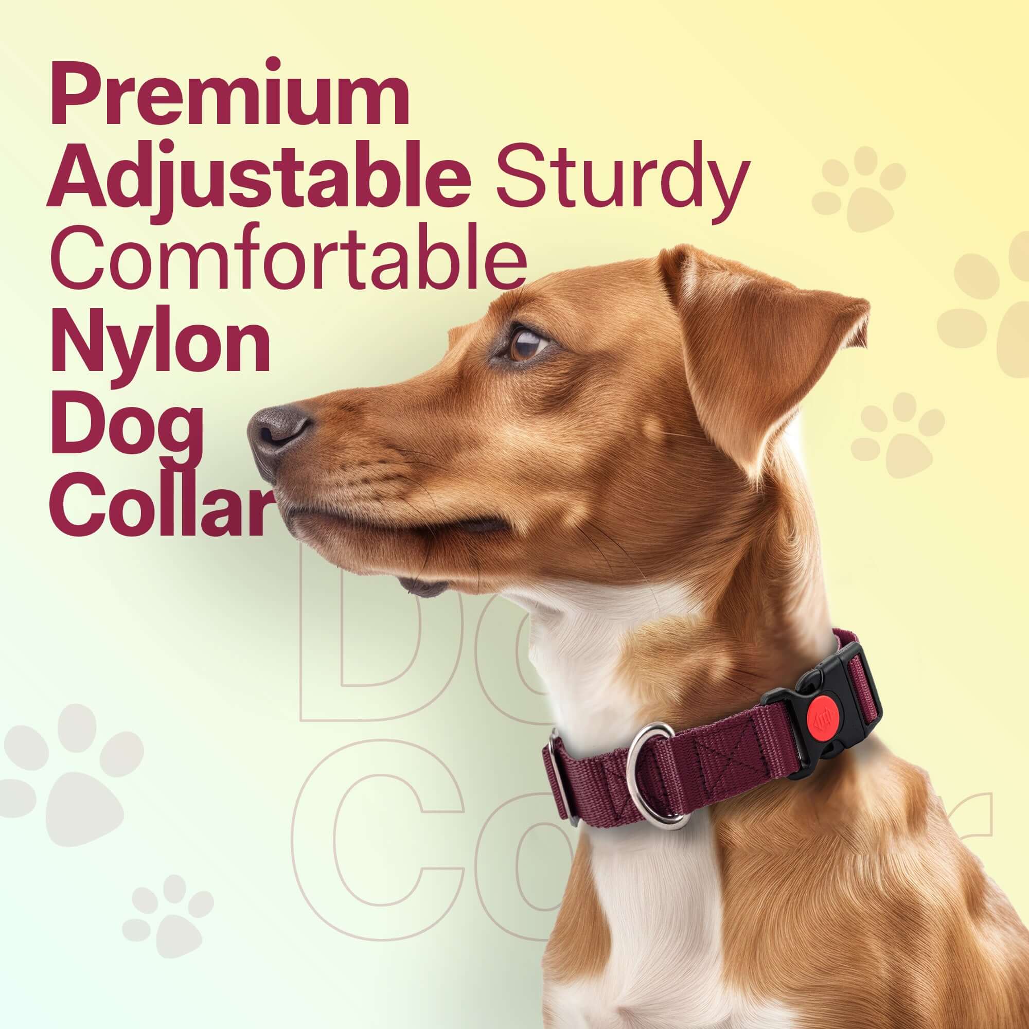 Adil's Nylon Quick Release Dog Collar 25 mm