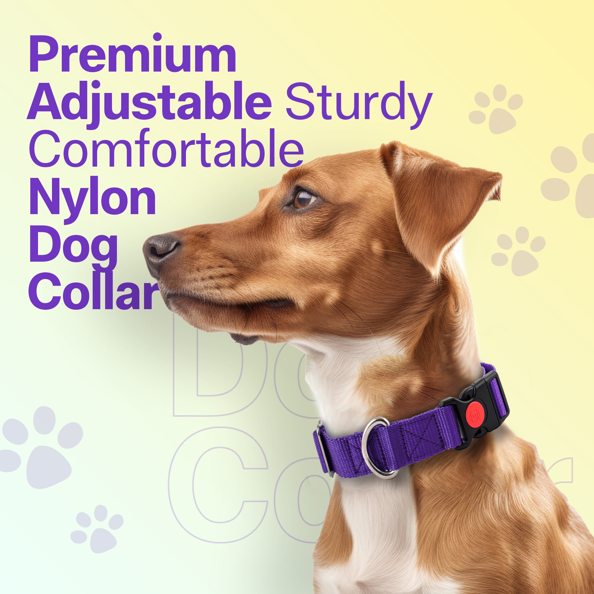 Adil's Nylon Quick Release Dog Collar 25 mm