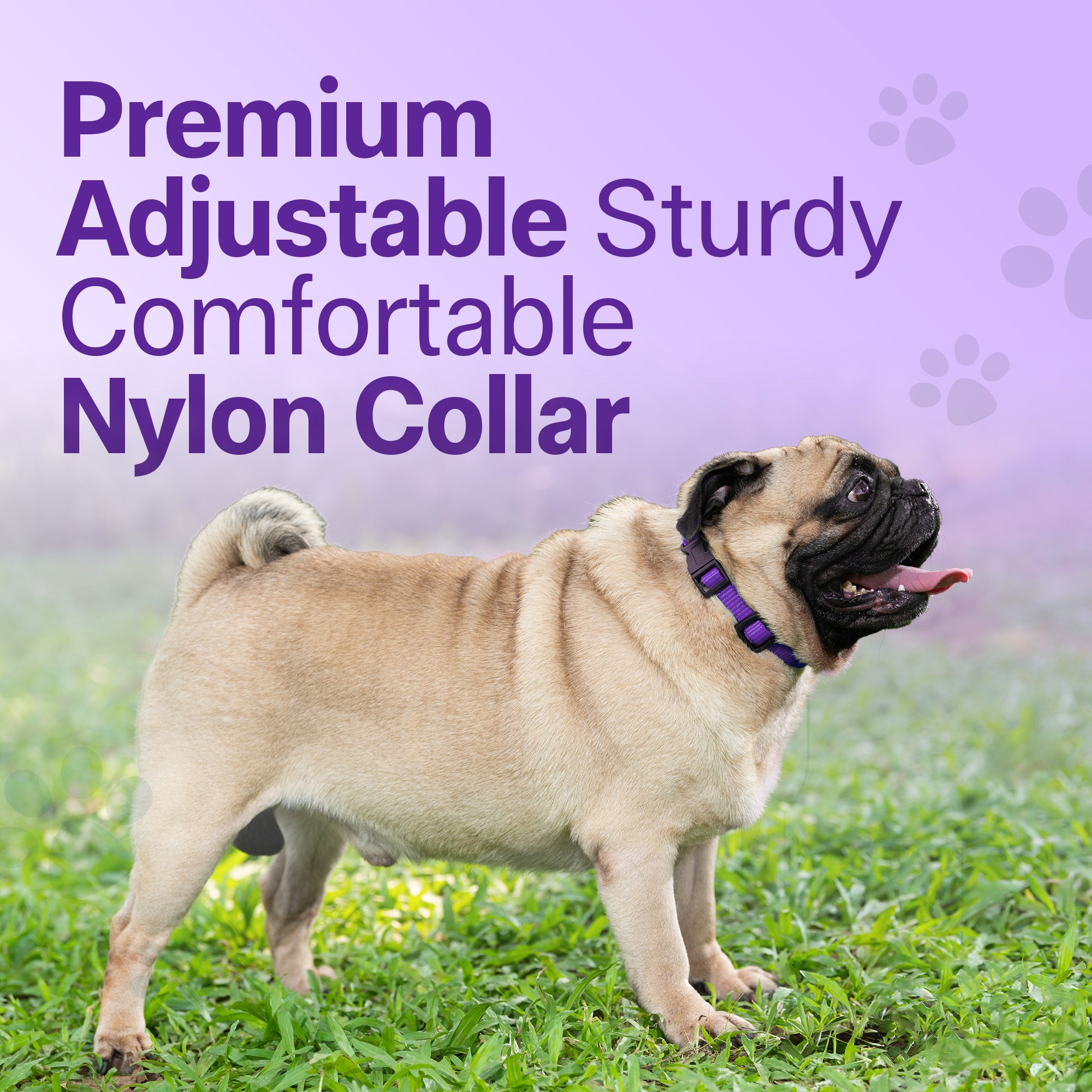 Adil's Nylon Quick Release Cat Collar 12 mm