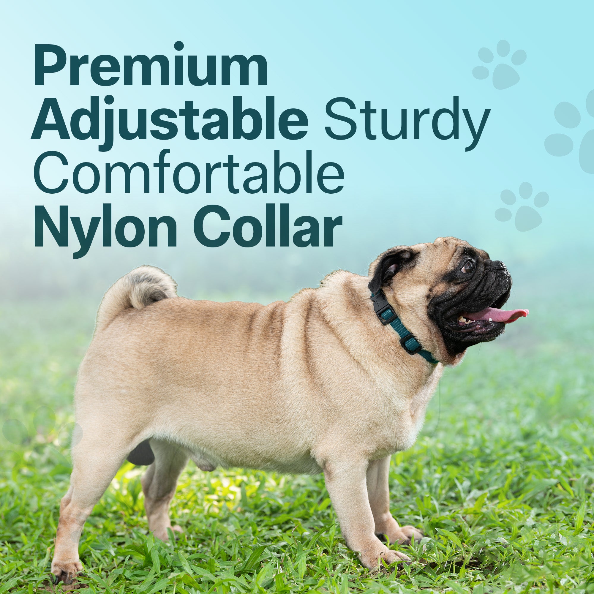 Adil's Nylon Quick Release Cat Collar 12 mm