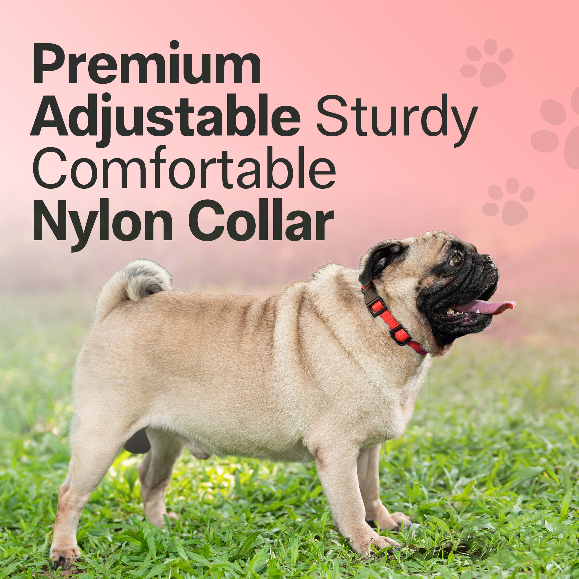 Adil's Nylon Quick Release Cat Collar 12 mm