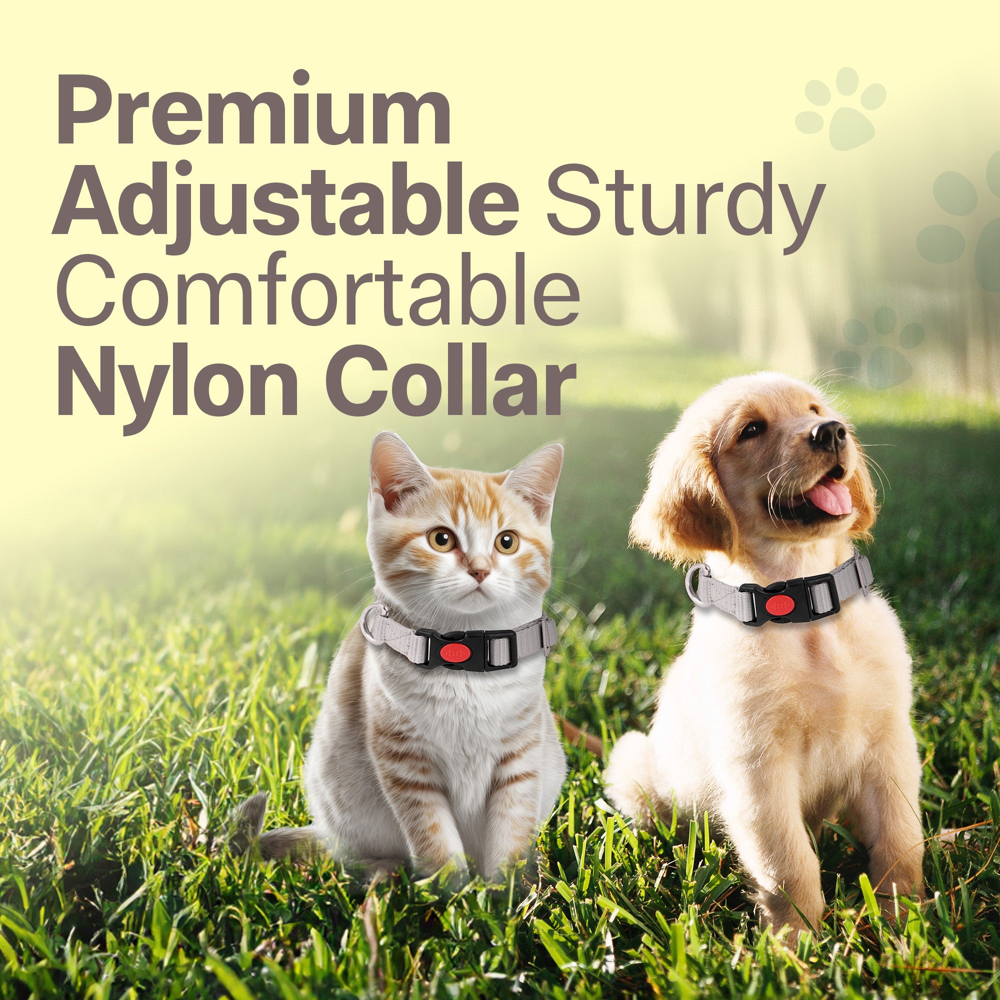 Adil's Nylon Quick Release Cat Collar -19mm