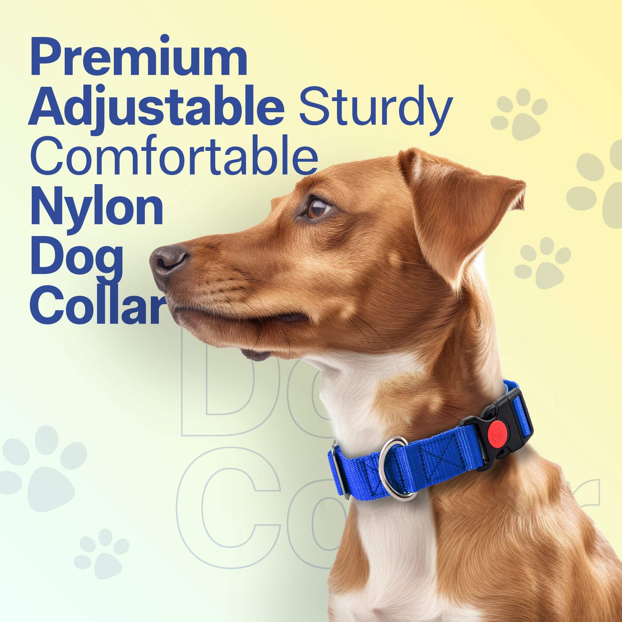 Adil's Nylon Quick Release Dog Collar 25 mm