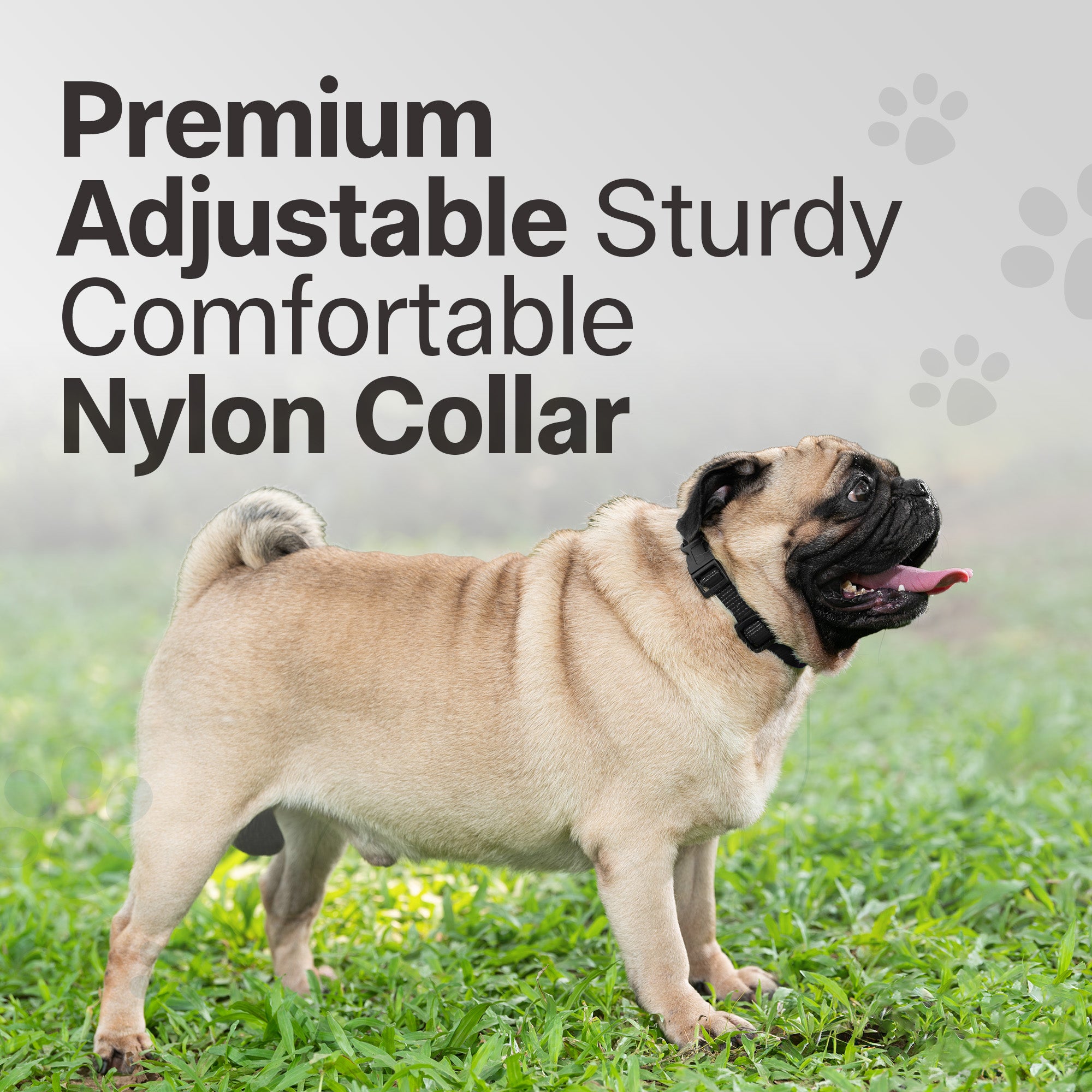 Adil's Nylon Quick Release Cat Collar 12 mm