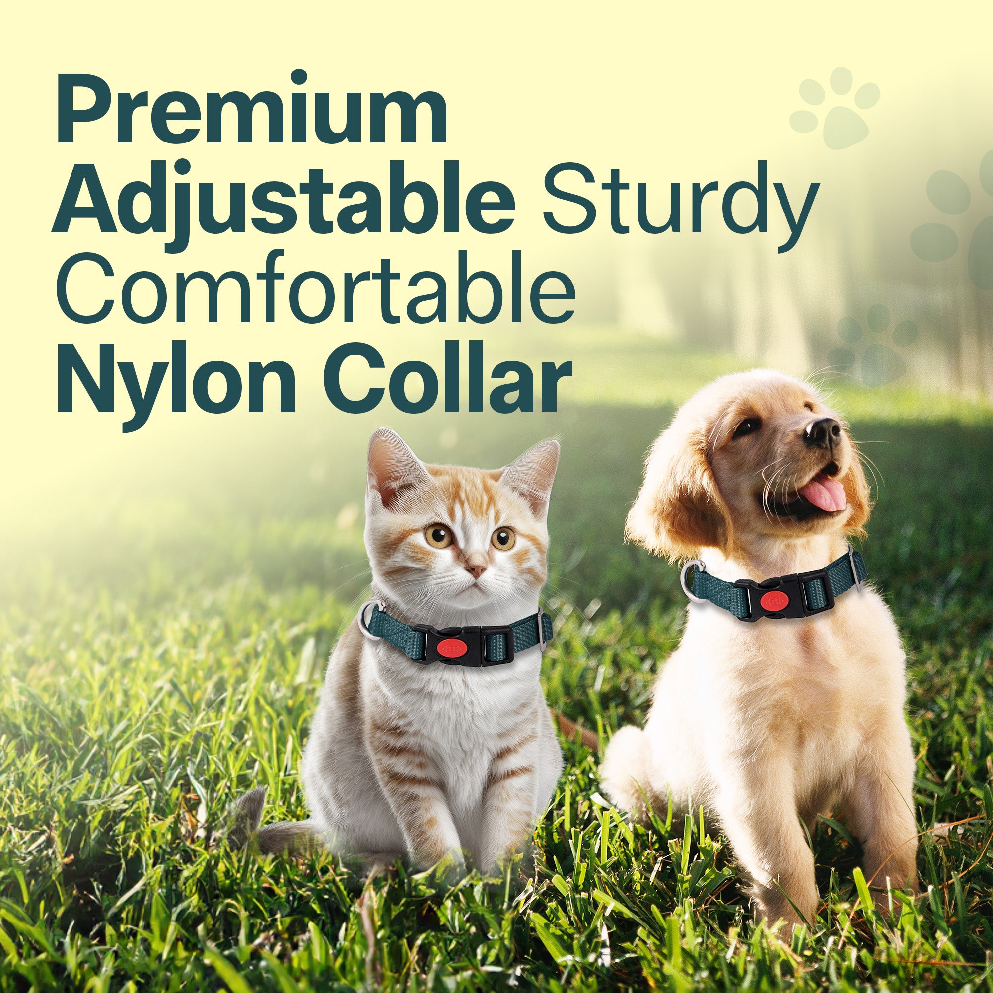 Adil's Nylon Quick Release Cat Collar -19mm