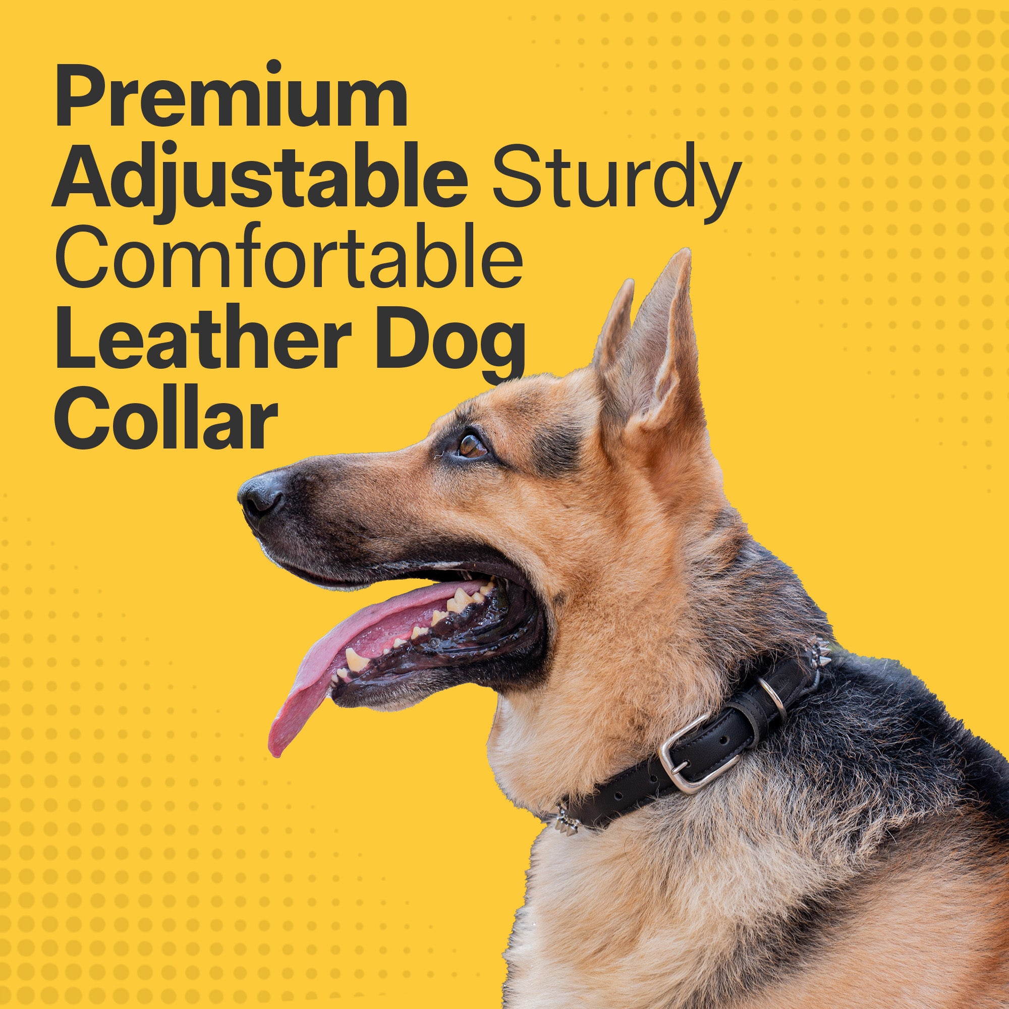 Adil's Leather Personalized Dog Collar (Harness Leather) – 1.5 Inch Wide