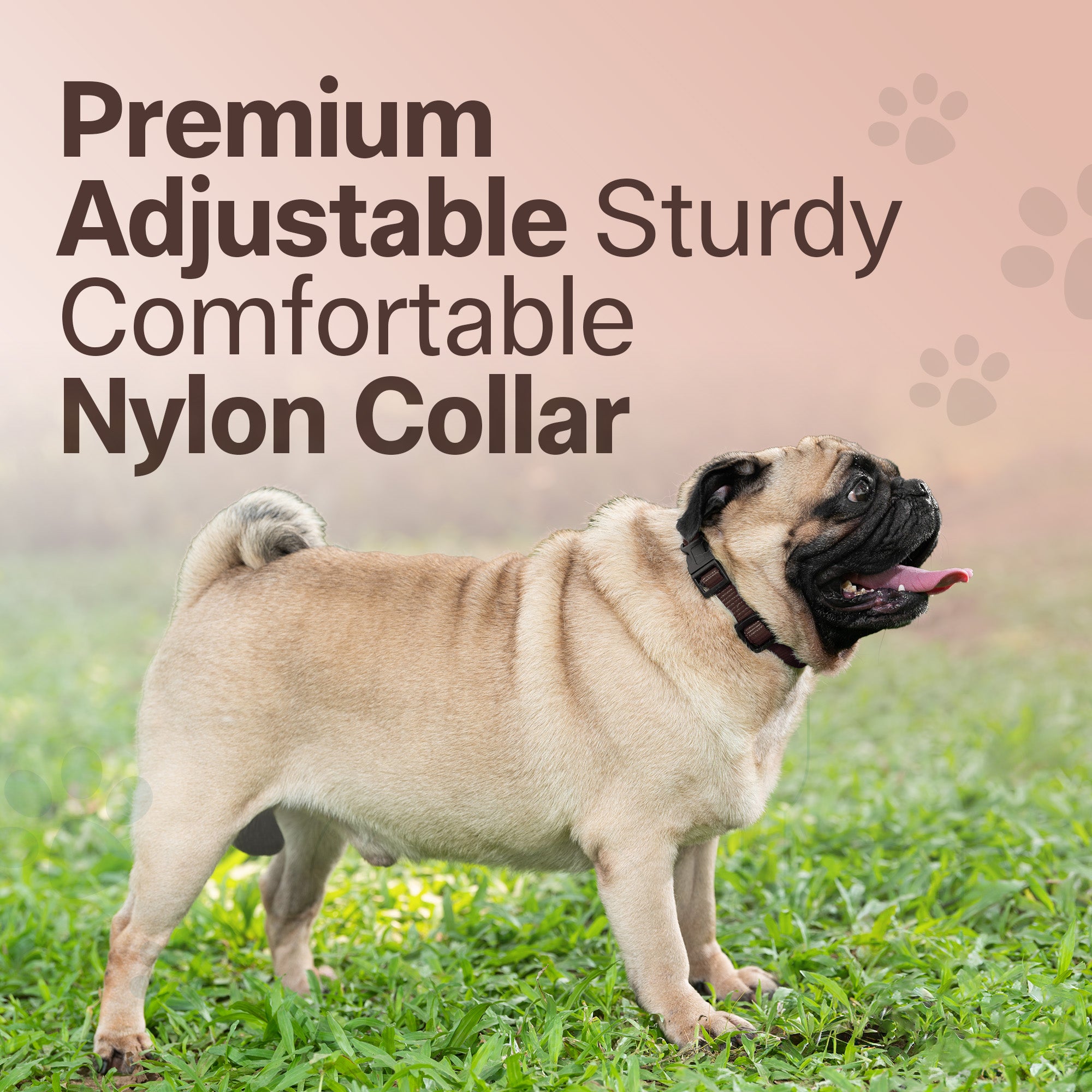 Adil's Nylon Quick Release Cat Collar 12 mm