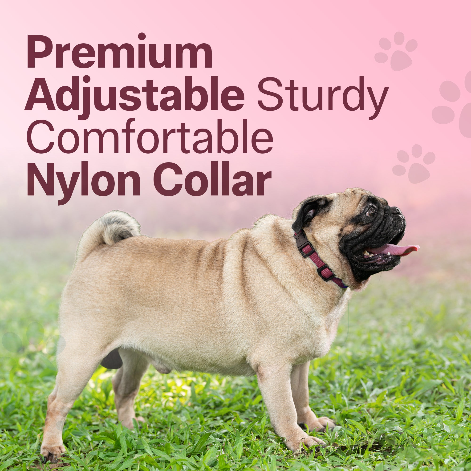 Adil's Nylon Quick Release Cat Collar 12 mm