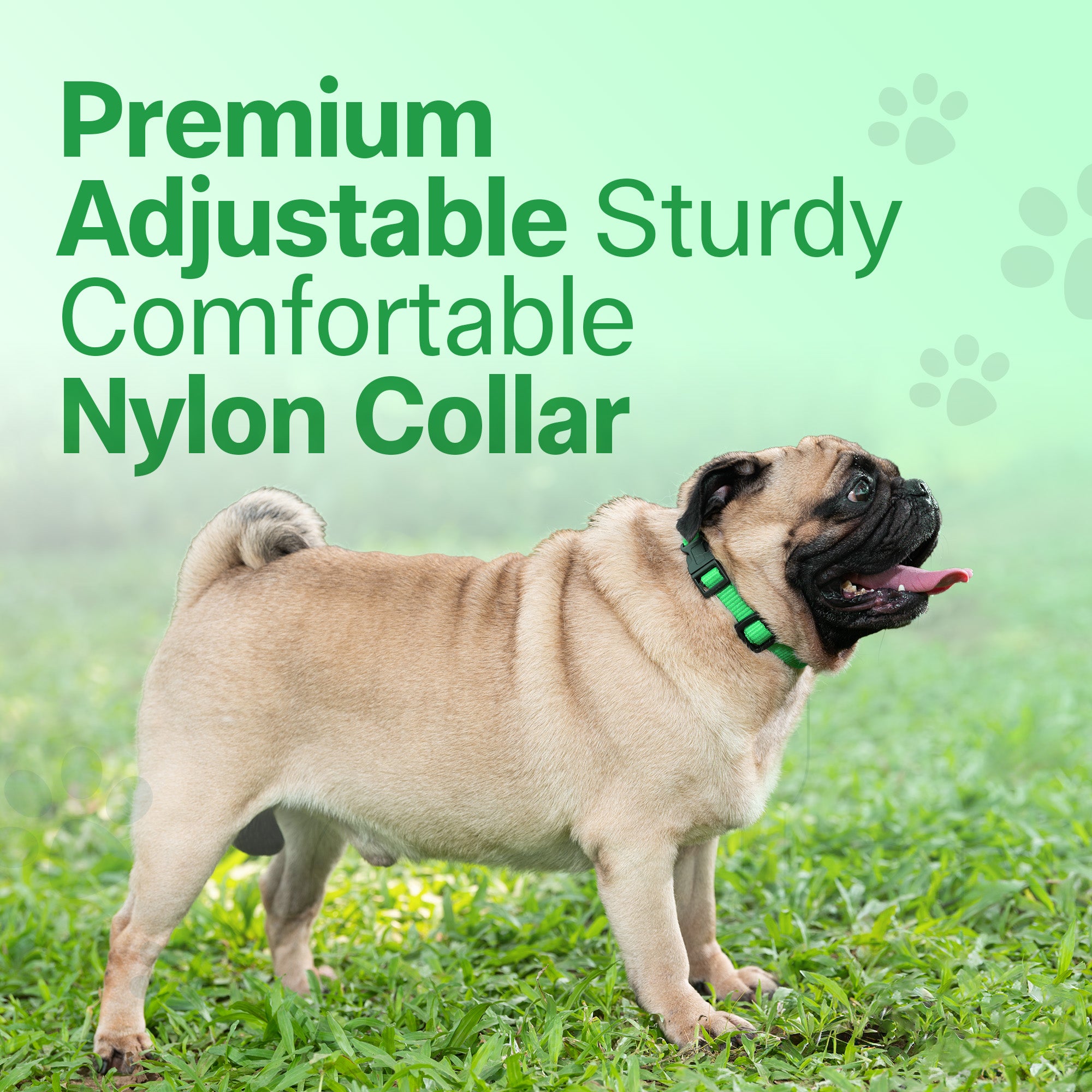 Adil's Nylon Quick Release Cat Collar 12 mm