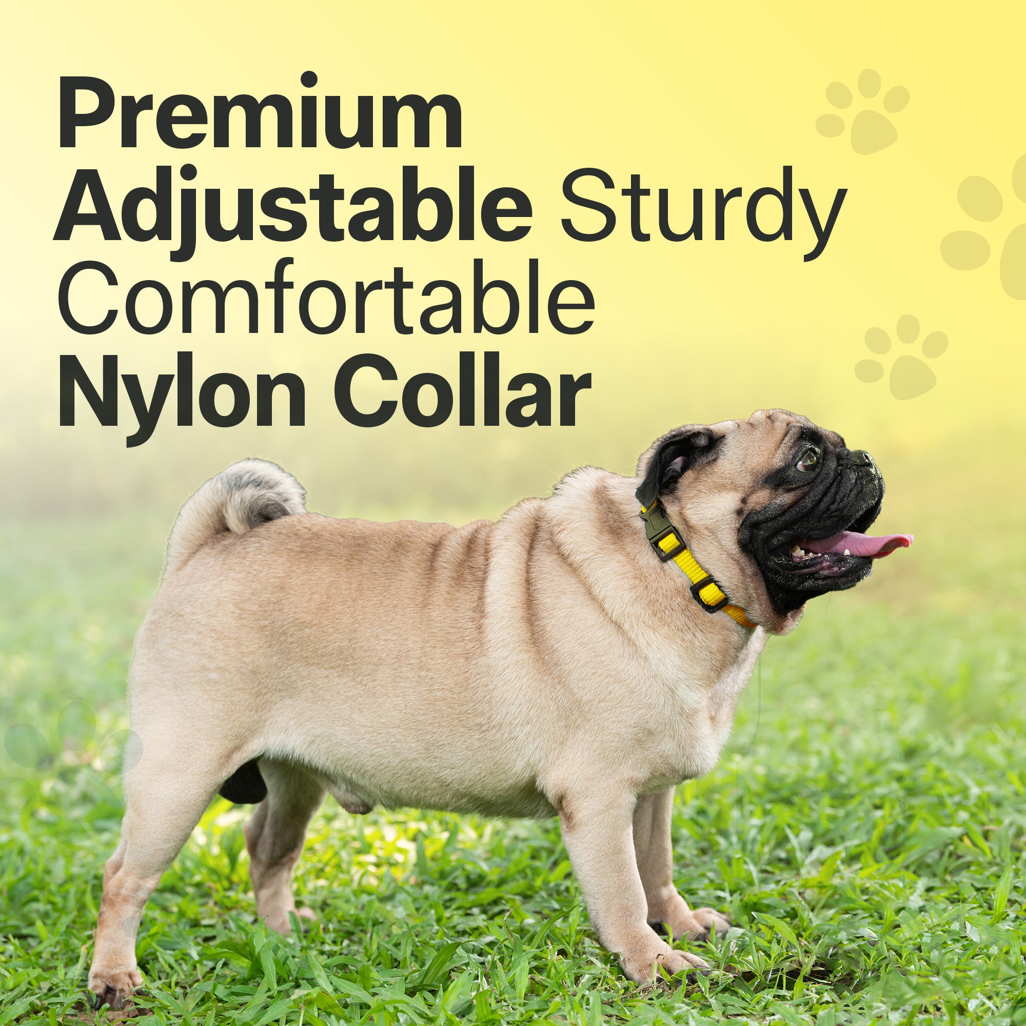 Adil's Nylon Quick Release Cat Collar 12 mm