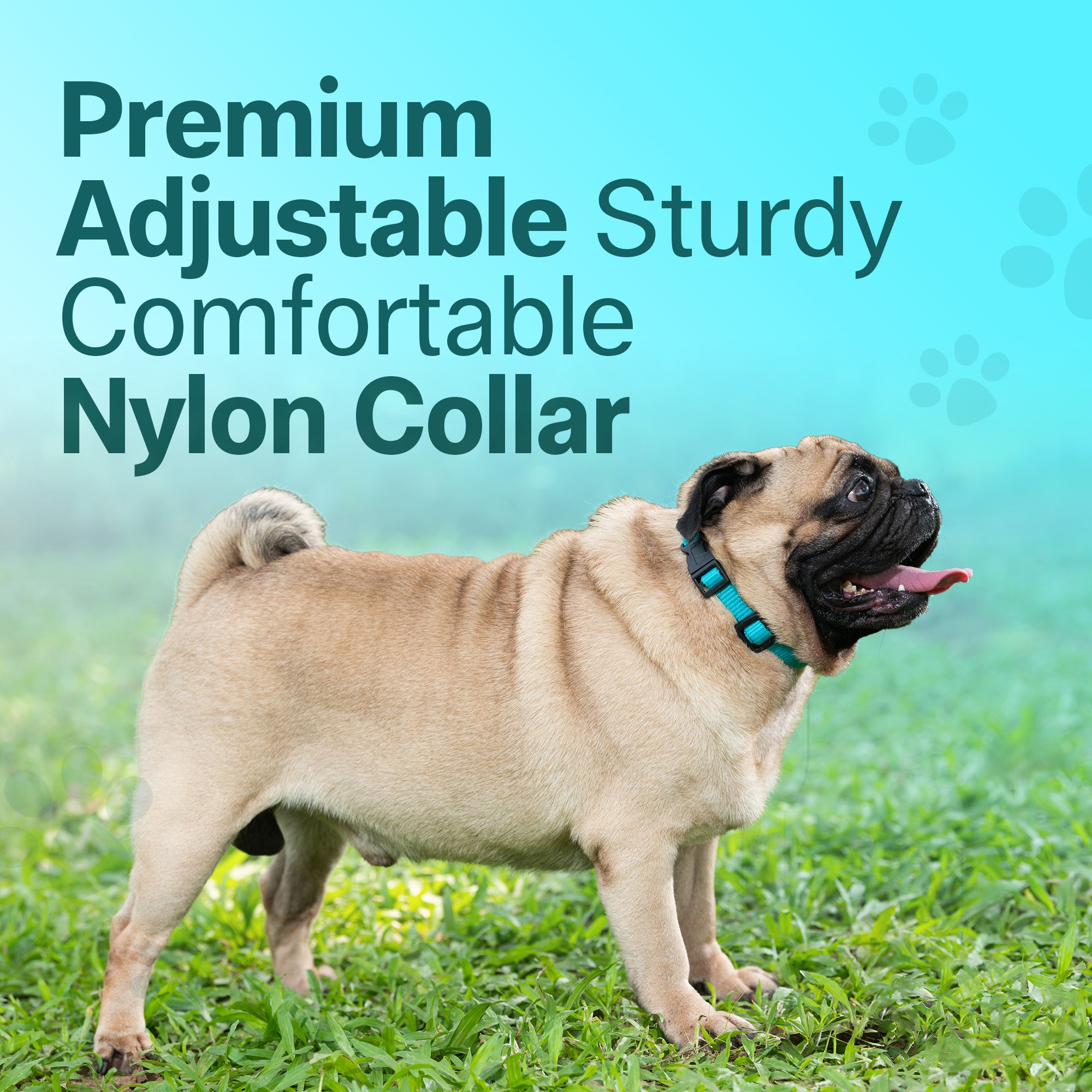 Adil's Nylon Quick Release Cat Collar 12 mm