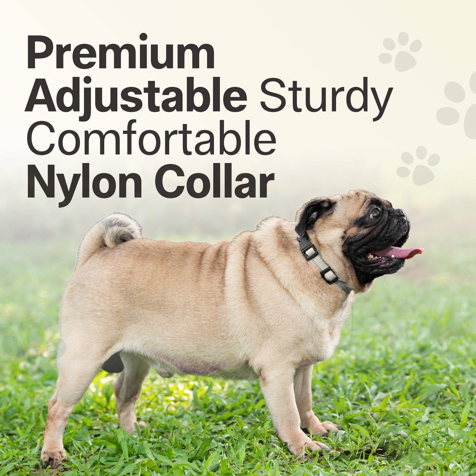 Adil's Nylon Quick Release Cat Collar 12 mm