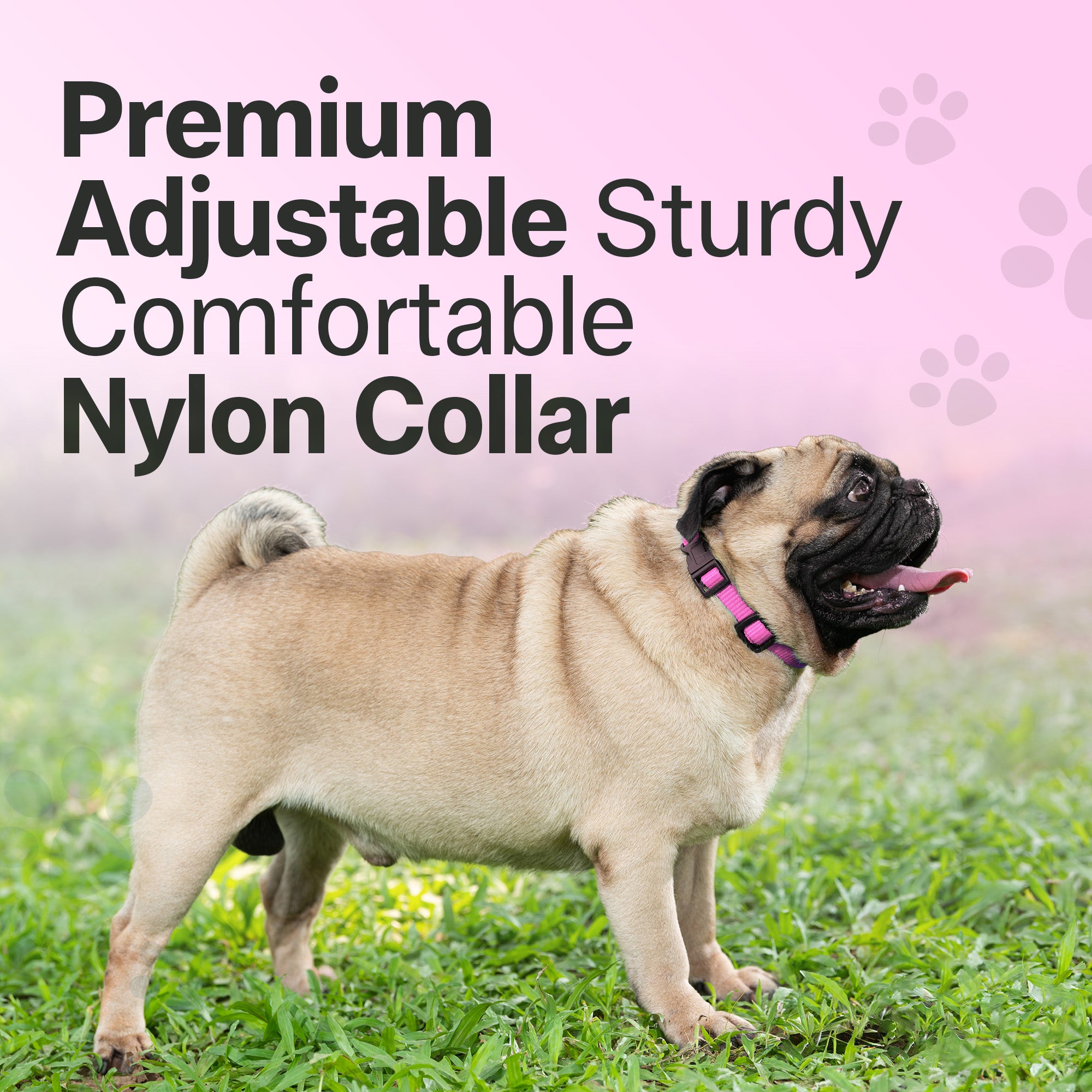 Adil's Nylon Quick Release Cat Collar 12 mm