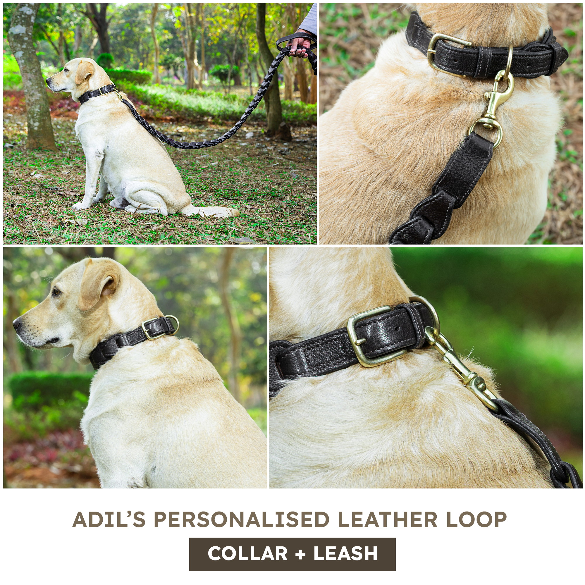 Adil's Genuine Leather Customise Dog Collar Leash Combo Set | Scallop Loop Design | Metal Buckle D-Ring | 360° Swivel Hook | 1 Inch Collar 5Ft Leash Pets | Walking Training