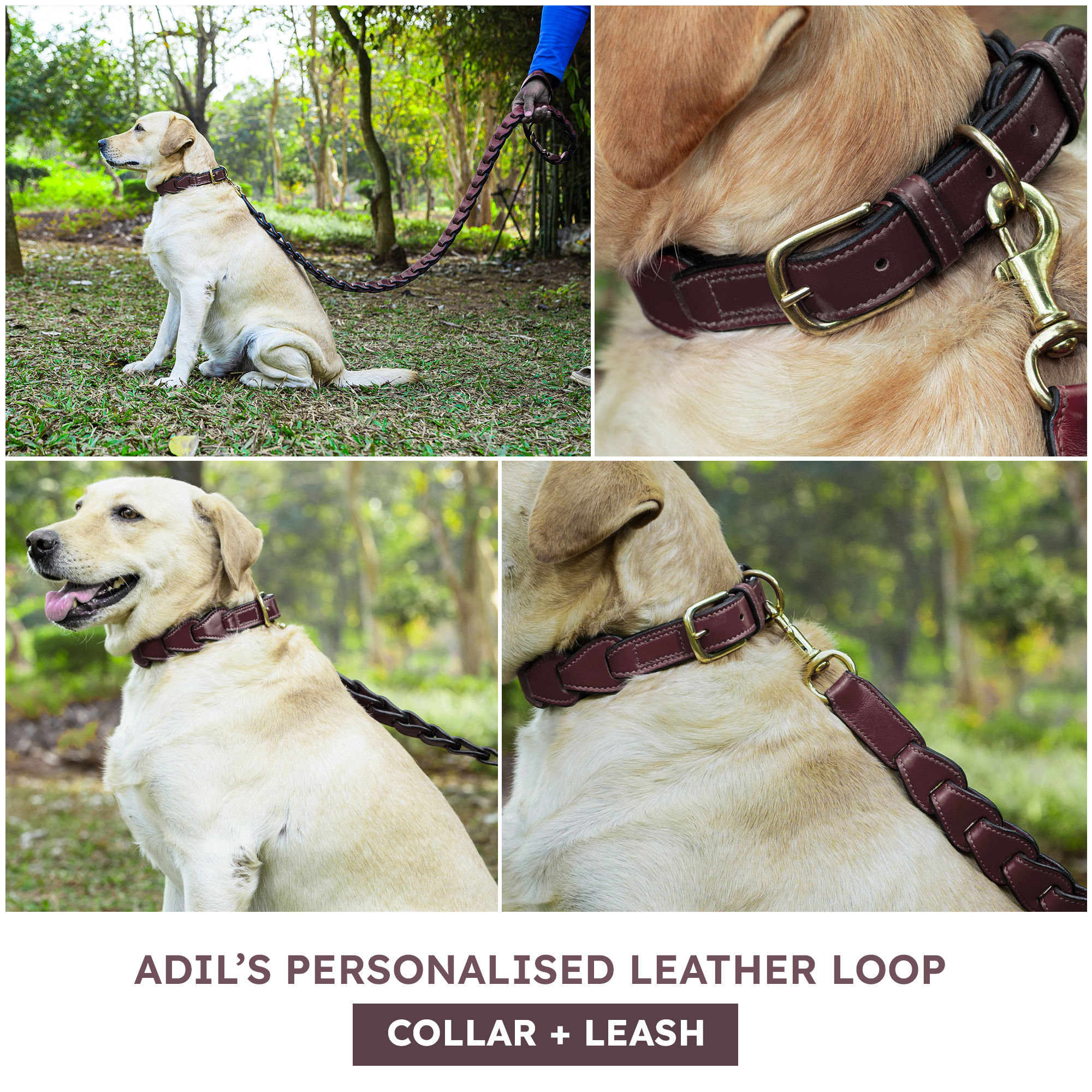 Adil's Genuine Leather Customise Dog Collar Leash Combo Set | Scallop Loop Design | Metal Buckle D-Ring | 360° Swivel Hook | 1 Inch Collar 5Ft Leash Pets | Walking Training
