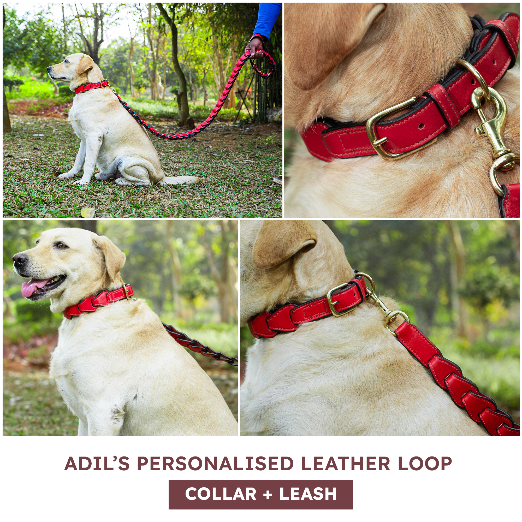 Adil's Genuine Leather Customise Dog Collar Leash Combo Set | Scallop Loop Design | Metal Buckle D-Ring | 360° Swivel Hook | 1 Inch Collar 5Ft Leash Pets | Walking Training