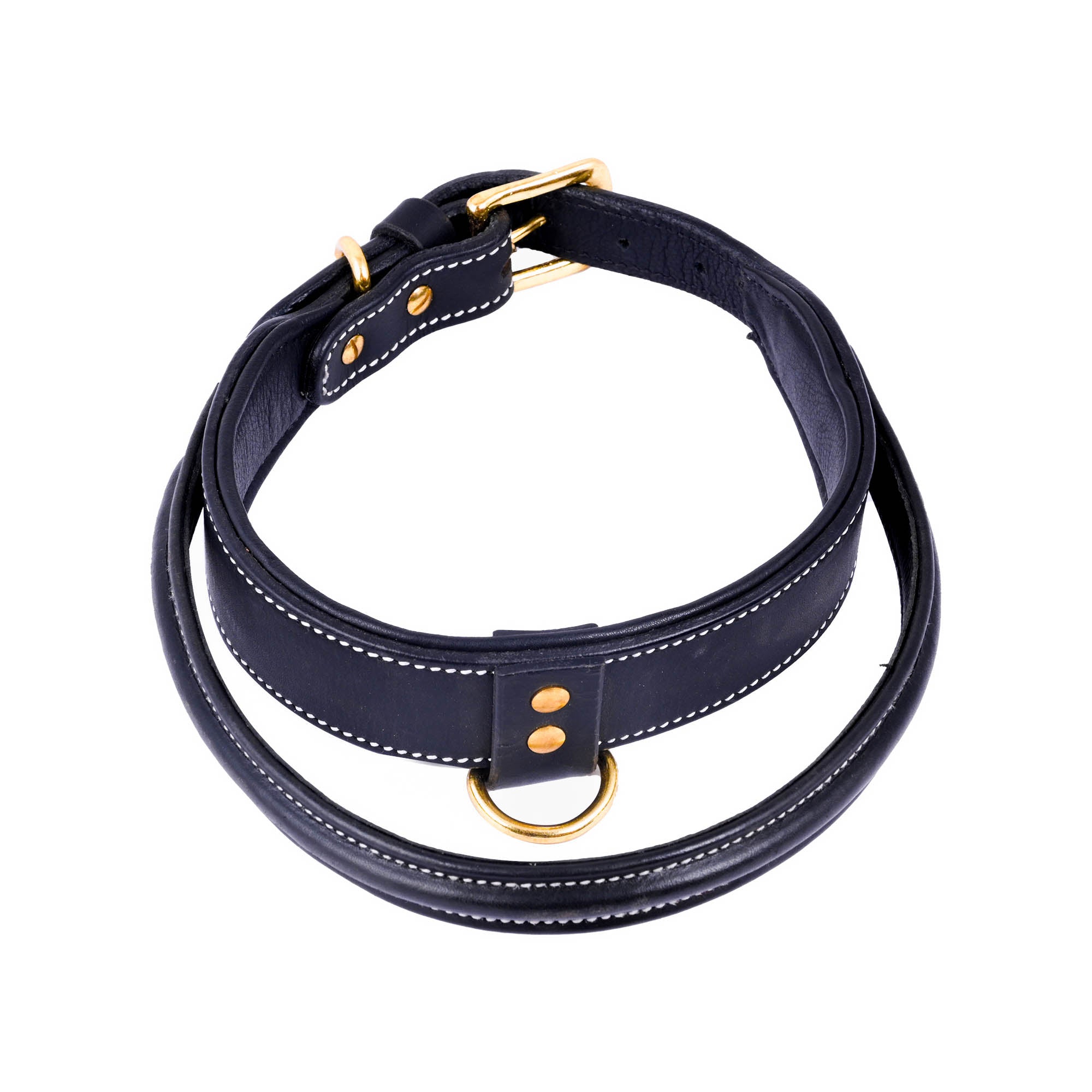 Handle Dog Collar, Adjustable Heavy Duty Leather Dog Collar with Strong Metal D-Ring