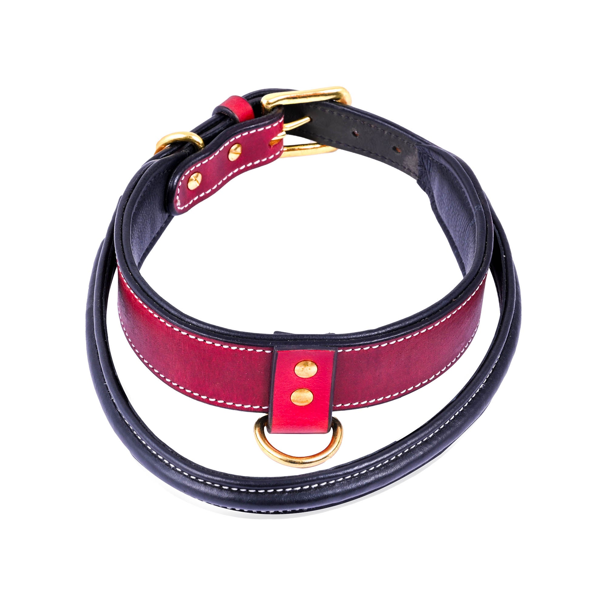 Handle Dog Collar, Adjustable Heavy Duty Leather Dog Collar with Strong Metal D-Ring