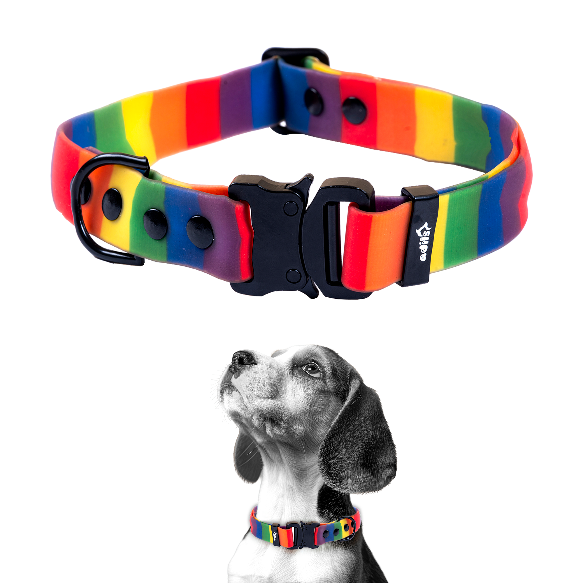 Adil’s Rainbow Biothane Dog Collar – Waterproof, Quick Release, Adjustable (M to L)