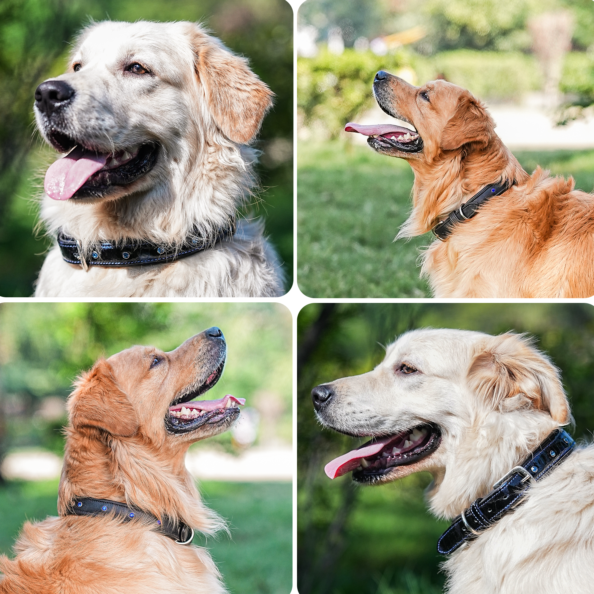 Adil’S Glossy Patent Leather Dog Collar – 1” Wide, Blue Crystal Studded, Classic Blue Stitch, Strong Metal Buckle & D-Ring, Adjustable Neck