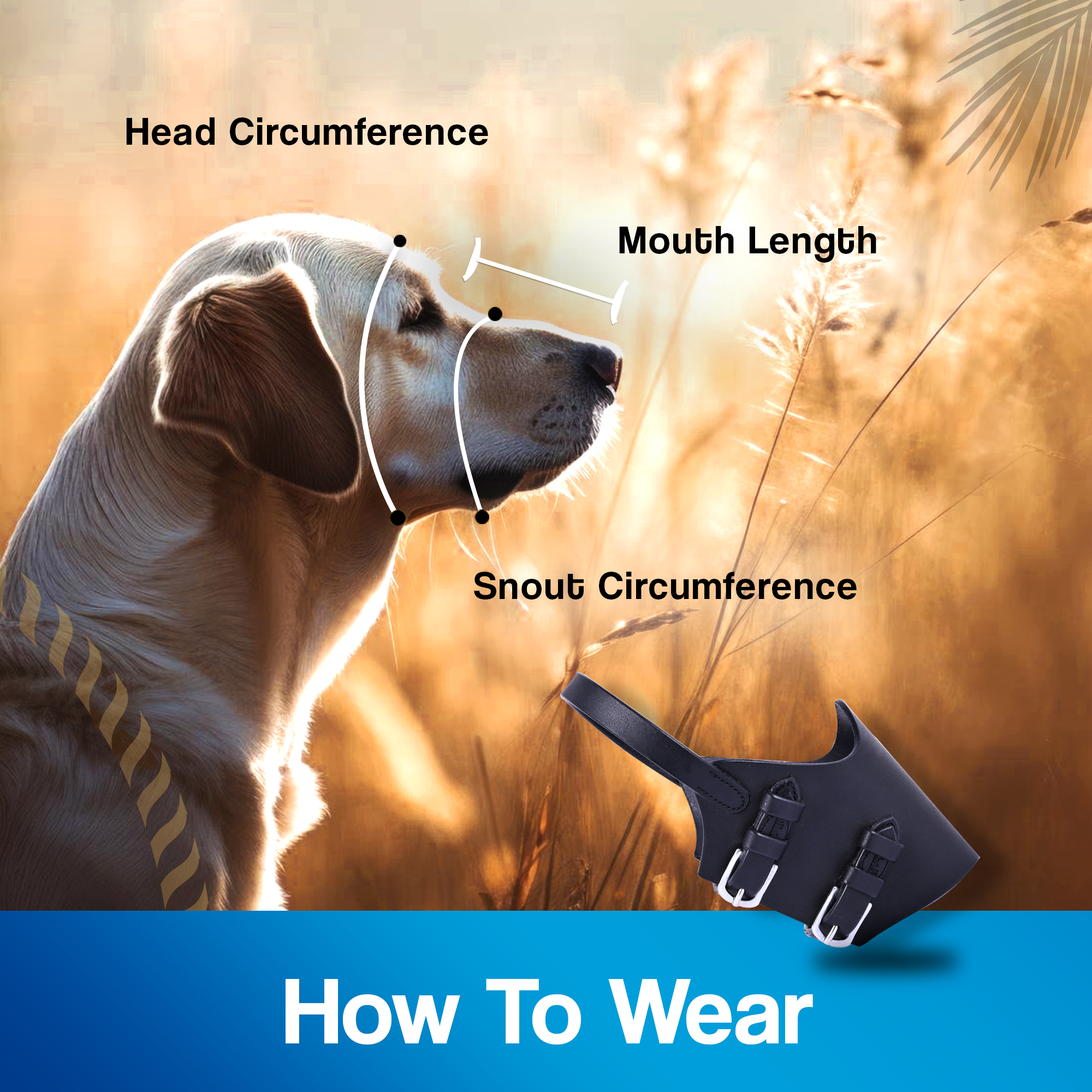 Adils Leather Dog Basket Muzzle for Aggressive Reactive Dogs, anti Biting and Perfect for Grooming and Training