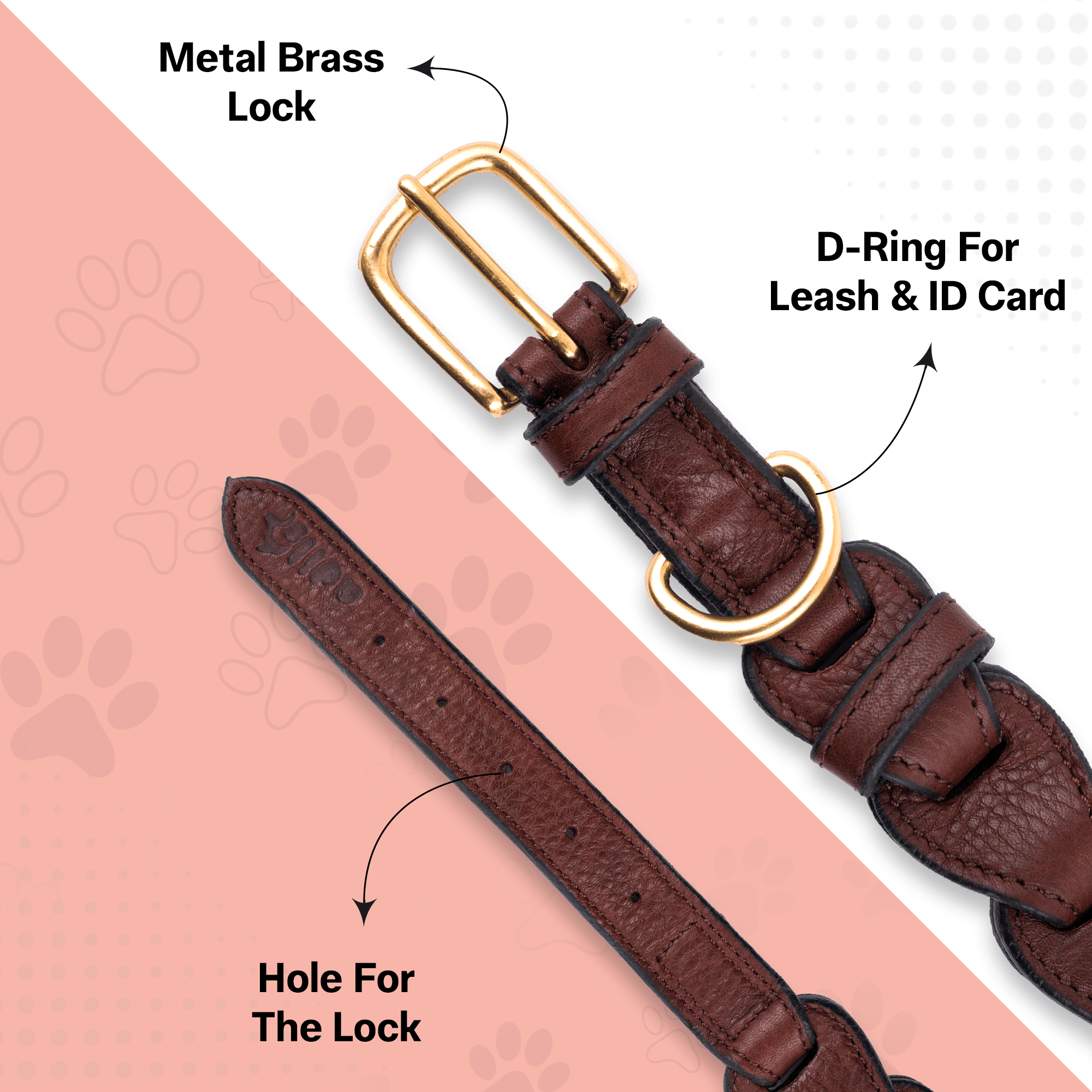 Adil's Leather Personalized Dog Collar (Softy Leather) – 1.5 Inch Wide