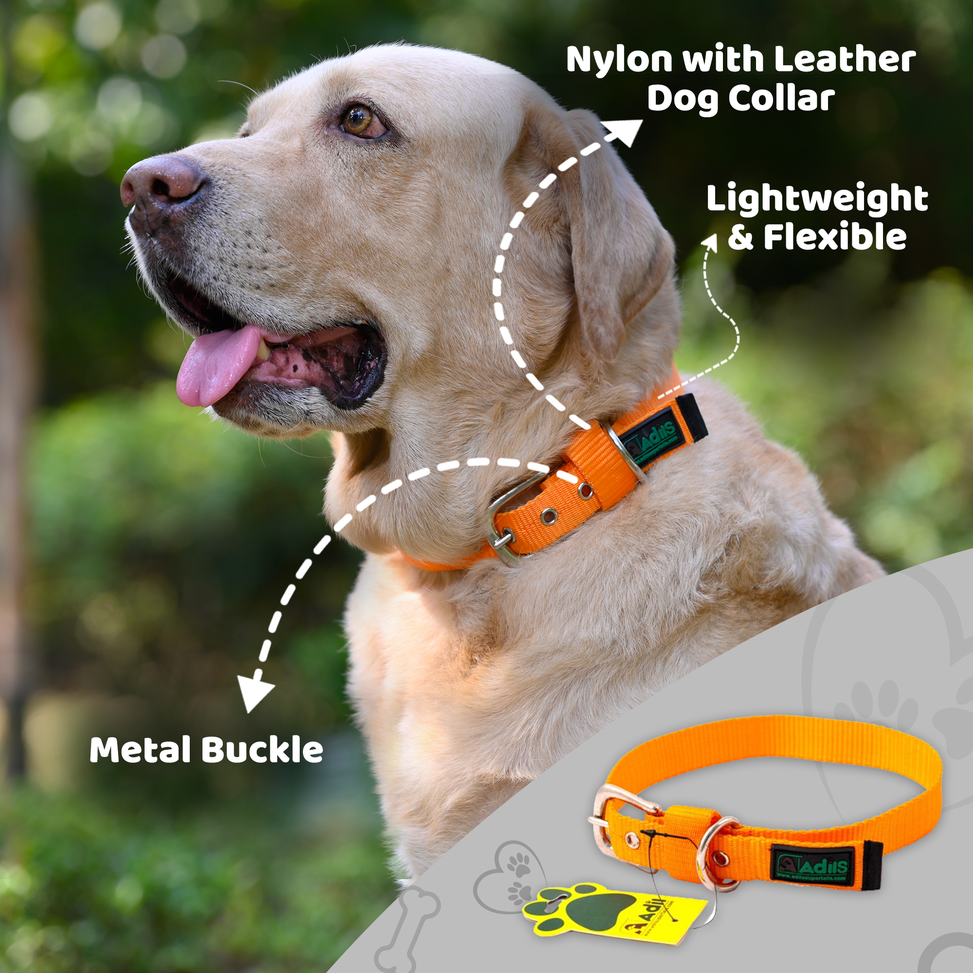 Adil's Nylon Dog Collar with Adjustable Metal Buckle – 1 Inch Wide