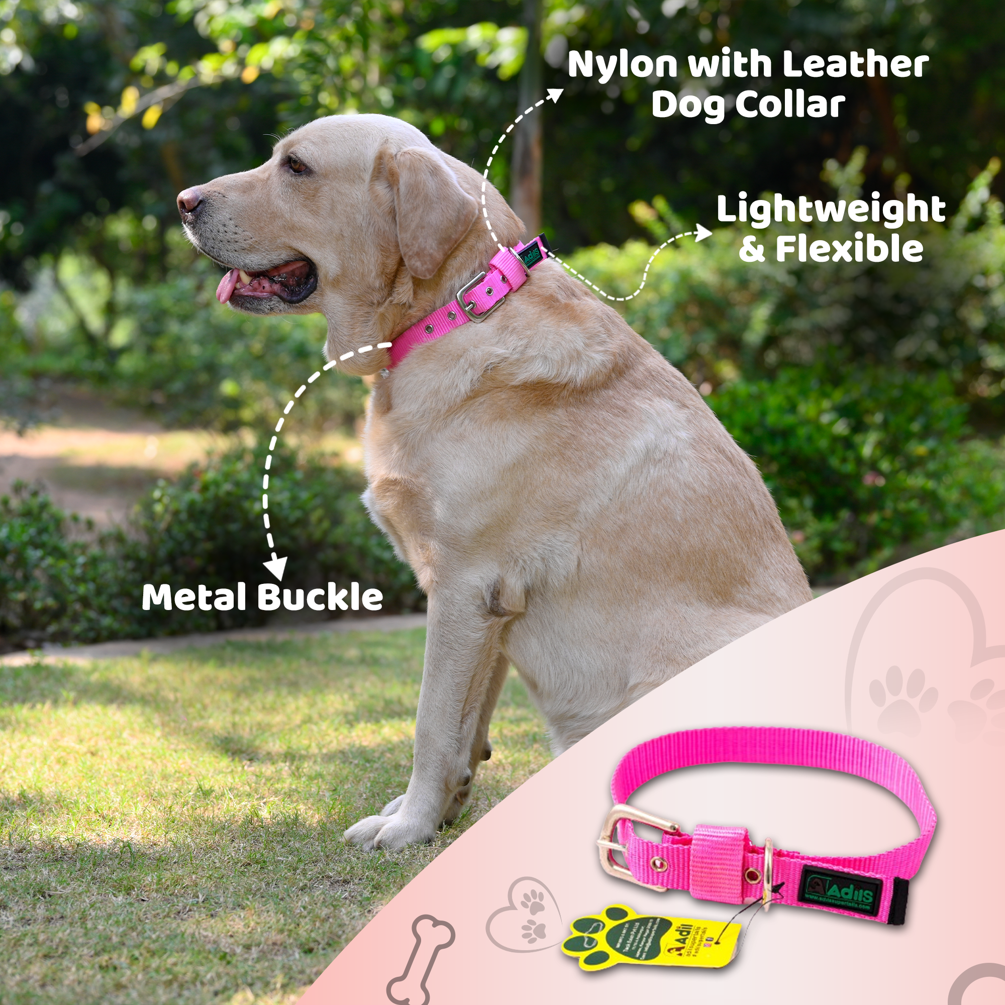 Adil's Nylon Dog Collar with Adjustable Metal Buckle – 1 Inch Wide