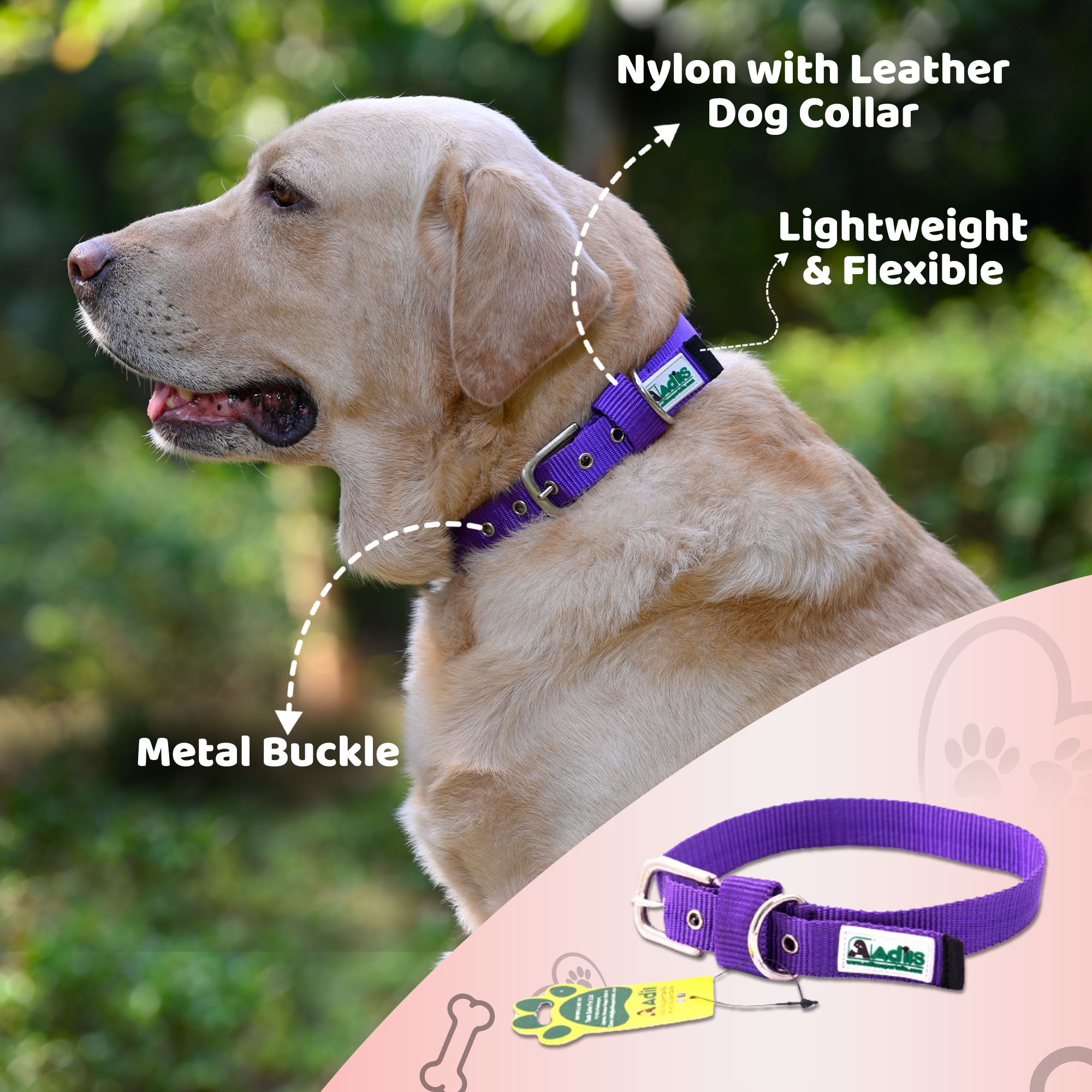 Adil's Nylon Dog Collar with Adjustable Metal Buckle – 1 Inch Wide