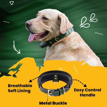 Handle Dog Collar, Adjustable Heavy Duty Leather Dog Collar with Strong Metal D-Ring