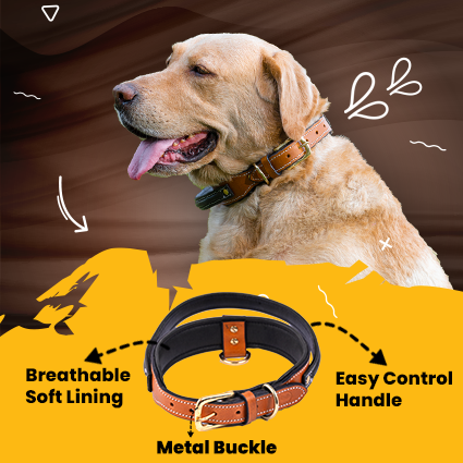 Handle Dog Collar, Adjustable Heavy Duty Leather Dog Collar with Strong Metal D-Ring